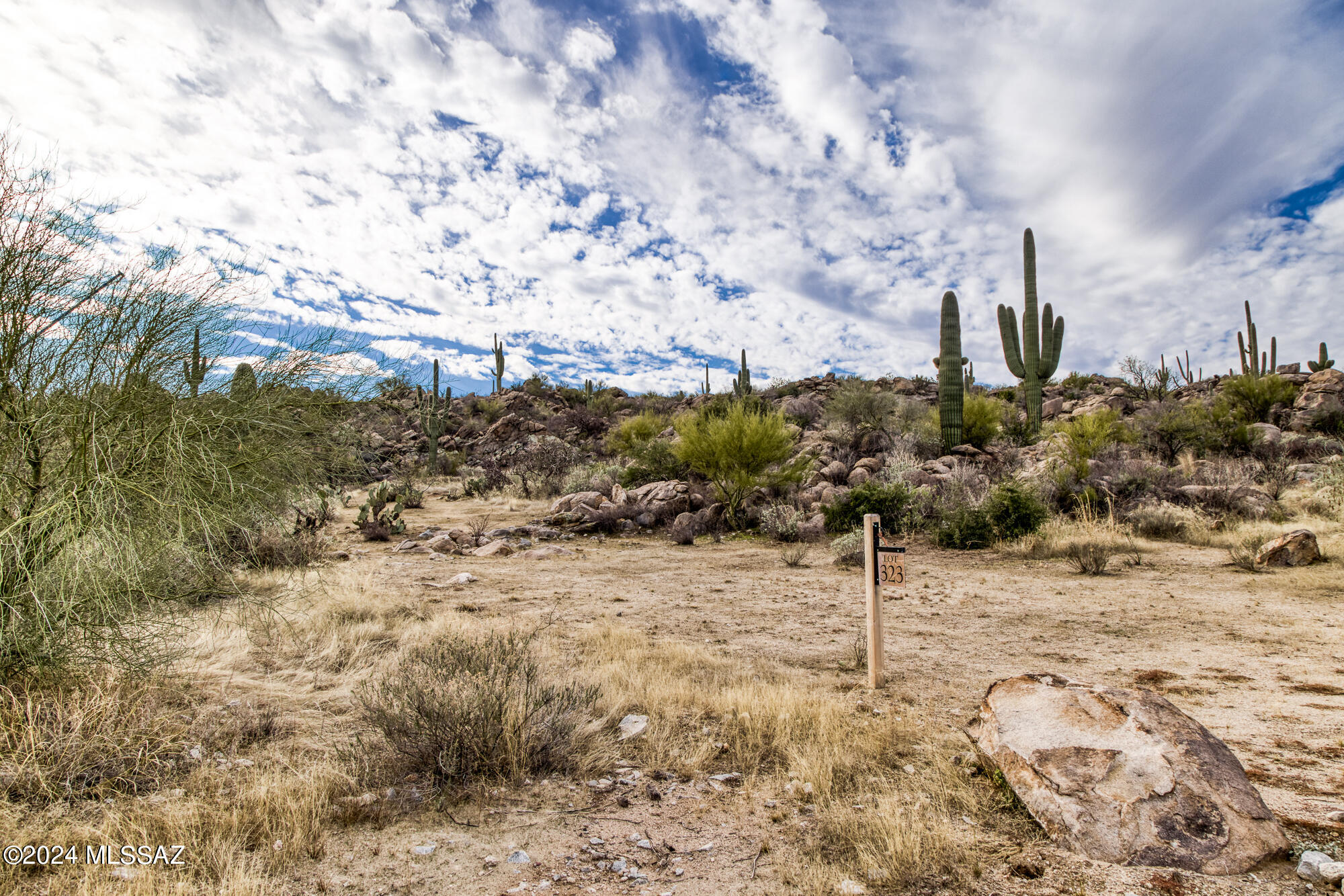 Stone Canyon IV - Land