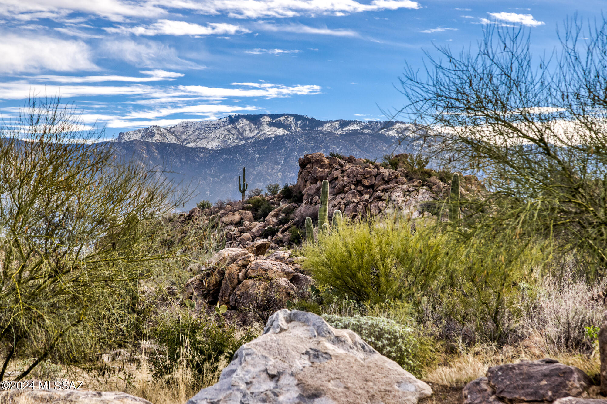 Stone Canyon IV - Land