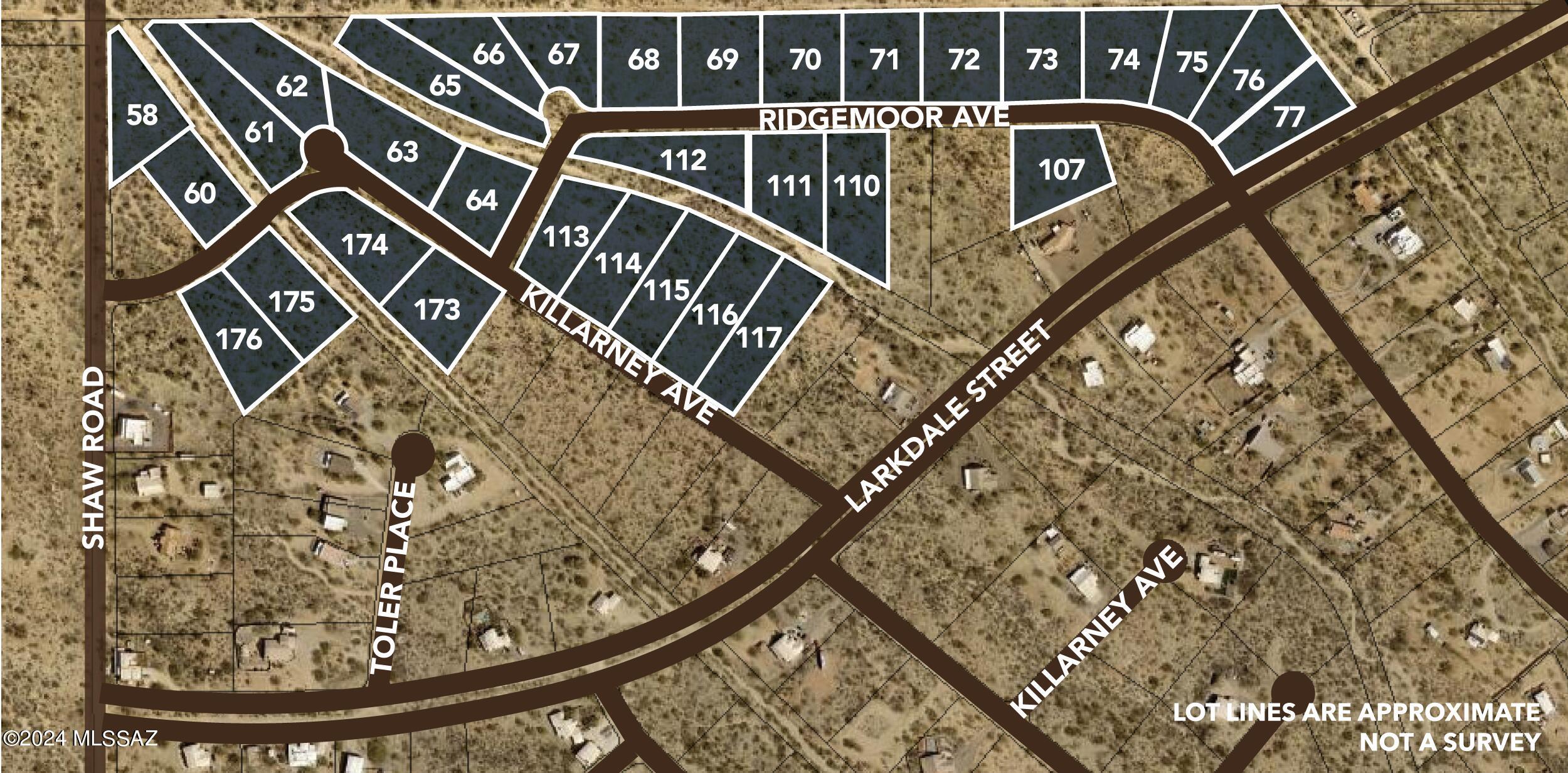 Exceptional Opportunity for Builders and Developers!  THIRTY TWO CR-1 APPROVED AND PLATTED LOTS in Pima County, just southwest of Tucson, Arizona, covering approximately 58 acres. Available for sale in a bulk sale only. This prime parcel is offered for a bulk sale and features underground utilities conveniently nearby for development provided by Tucson City water, Trico Electric, Southwest Gas, and is approved for on-lot septic systems. Diamond Bell Ranch has an operating professionally serviced Fire Station. Situated next to open expanses of State land, the property offers a minimum of one-acre horse-friendly lots, allowing for 2 horses per acre and is unburdened by a HOA. With abundant water resources, the site offers sweeping views of Kitt Peak, Baboquivari Mountains, and four surrounding mountain ranges. More than 250 families already enjoy the Diamond Bell Ranch lifestyle that slows down ordinary moments and offers home building opportunities that few other communities can offer. These 32 platted unimproved lots on the +/- 58 acres are available in a bulk sale in Diamond Bell ranch! Seller will also consider rolling options, phase takedowns and joint ventures. Located in beautiful SW Tucson AZ. This is a Great builder opportunity! Great investment hold! Borders State land for wide-open spaces. Discover the hidden gem of Diamond Bell Ranch, where Tucson's charm meets Southern Arizona's allure. Embrace enchanting star-lit nights and breathtaking vistas of Kitt Peak and the Baboquivari Mountains. Elevated and offering views of four distinct mountain ranges, this subdivision promises a panorama that inspires. Rin the vast expanse of Diamond Bell Ranch. Amidst a neighborhood adorned with custom homes, pride of ownership radiates, with the freedom to accommodate horses. Ask Broker for more details...