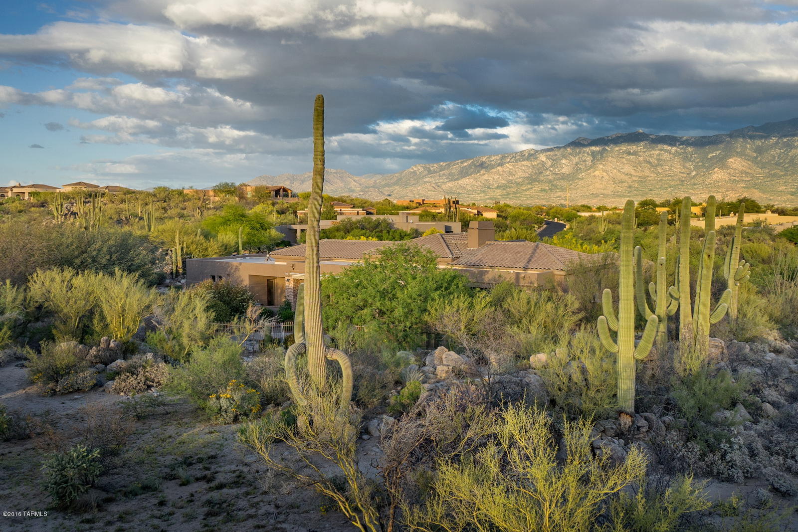 Honey Bee Ridge(The Estates At) - Residential