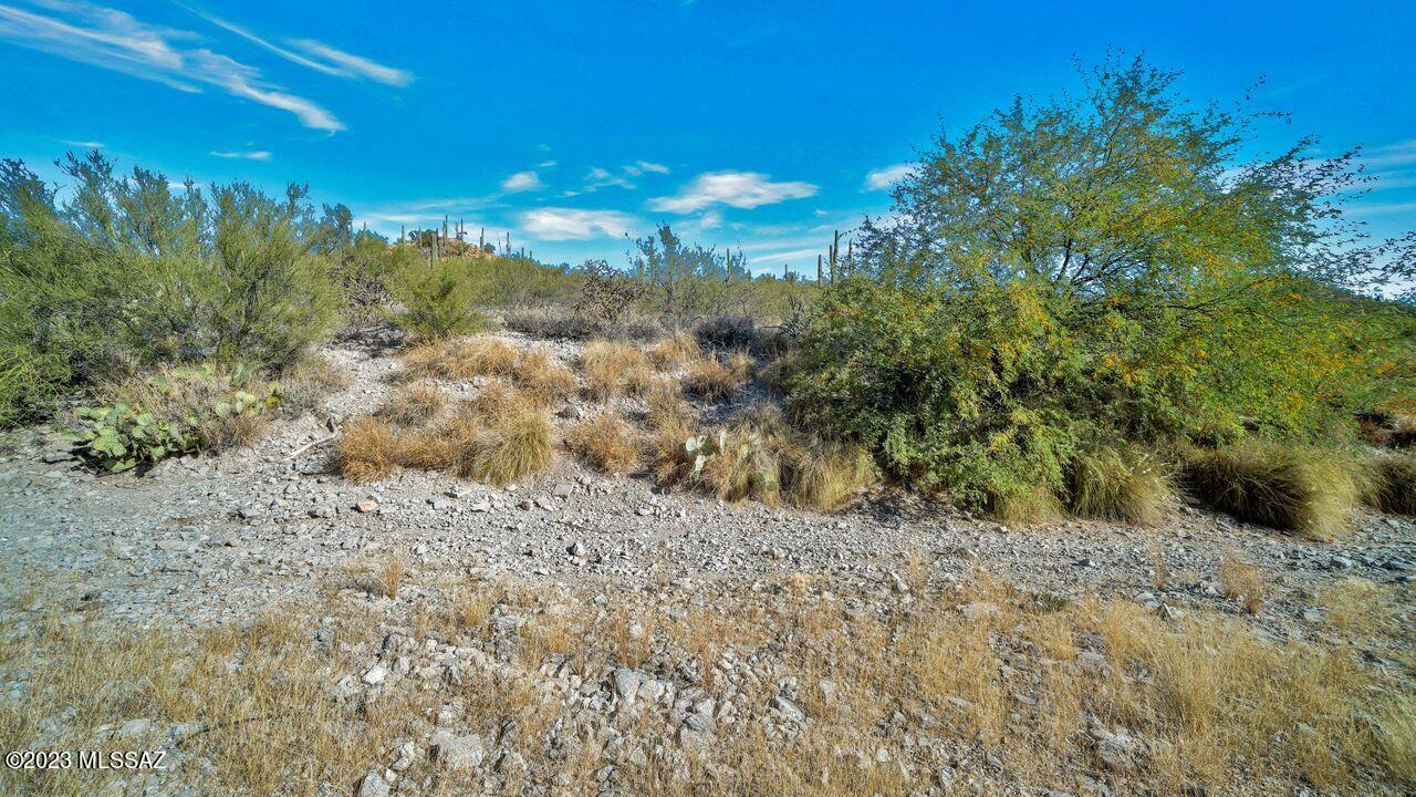Antelope Point (1-39) - Residential