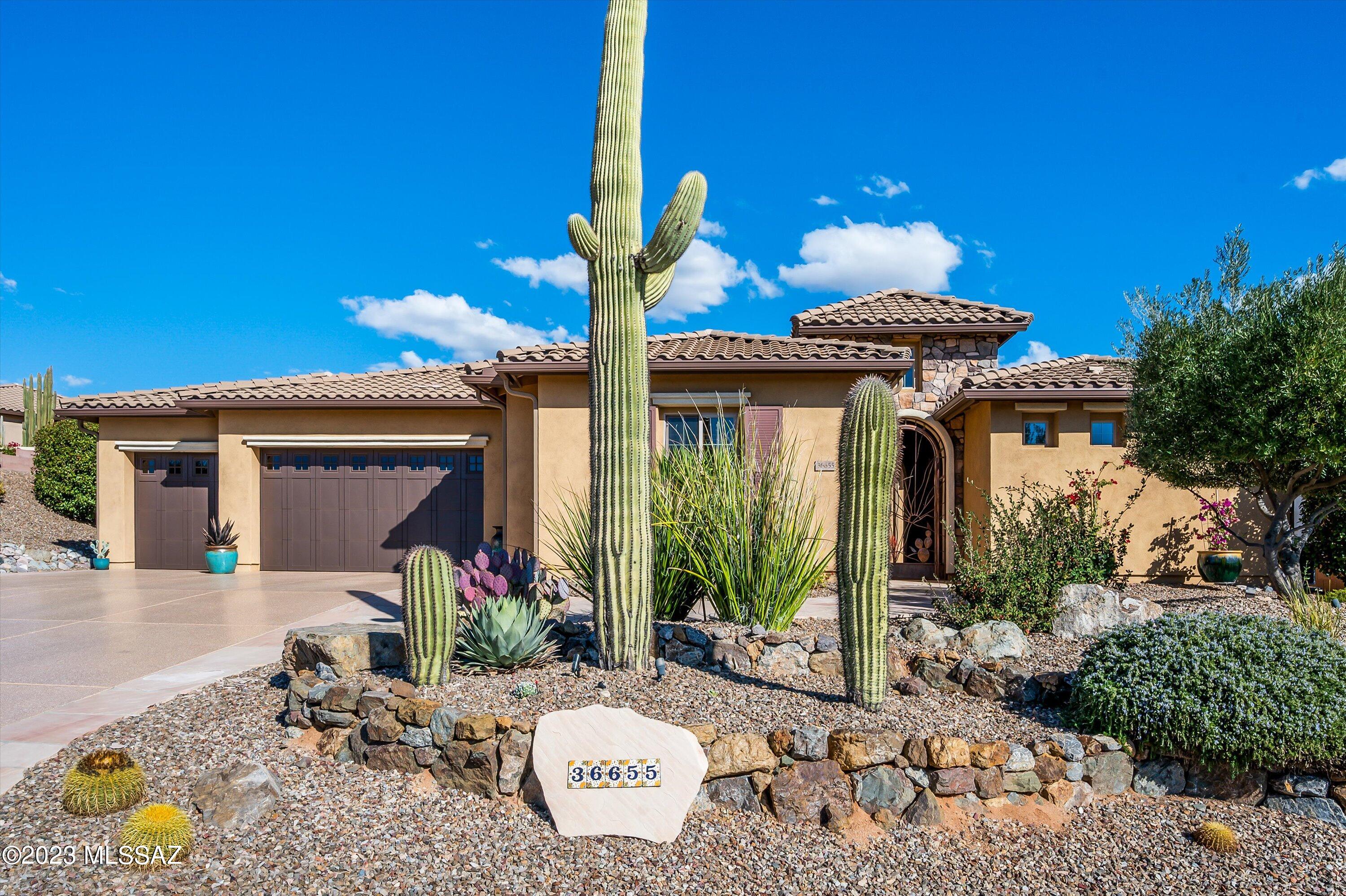Saddlebrooke - Residential