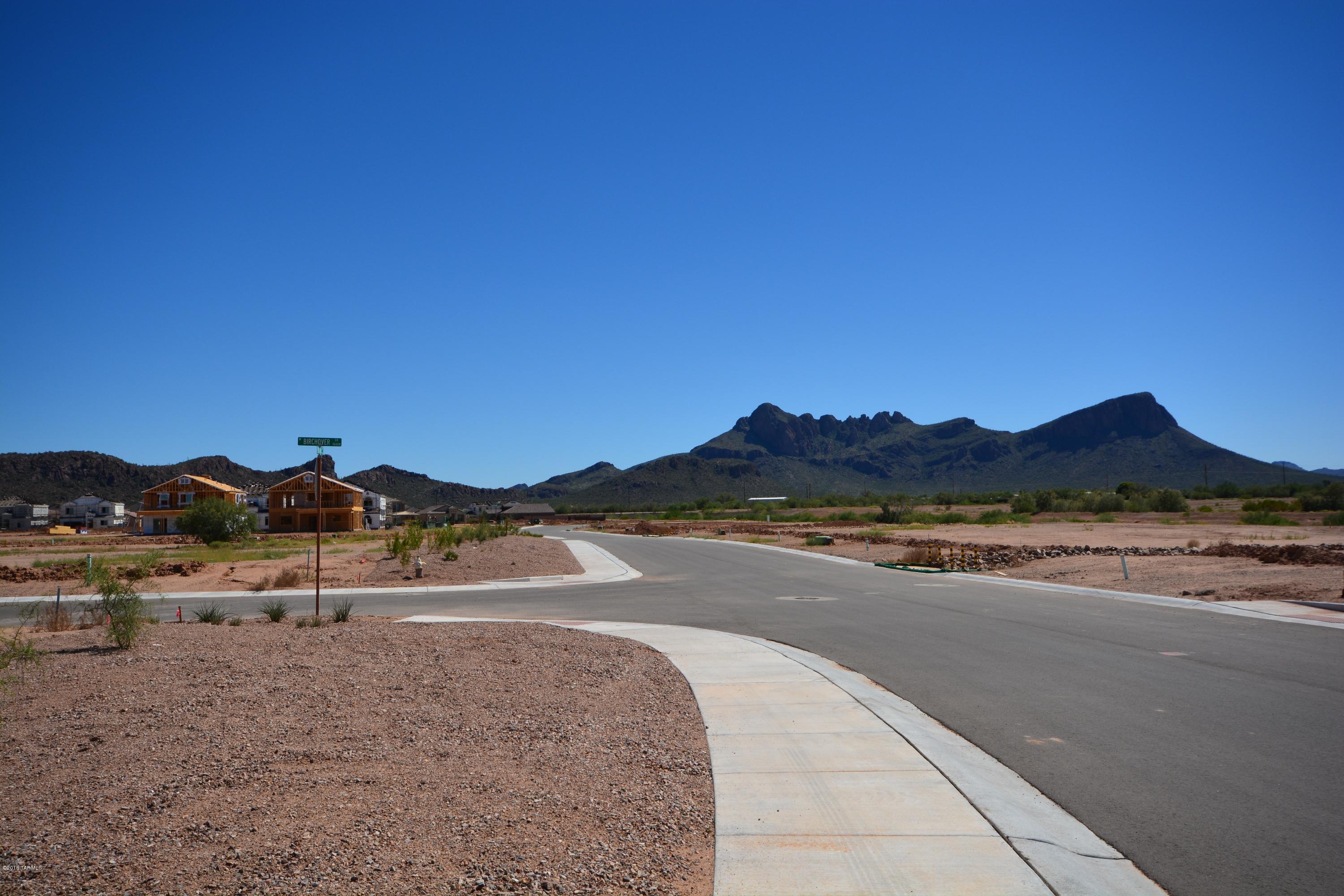 Saguaro Springs Block 8B (131-399) - Residential