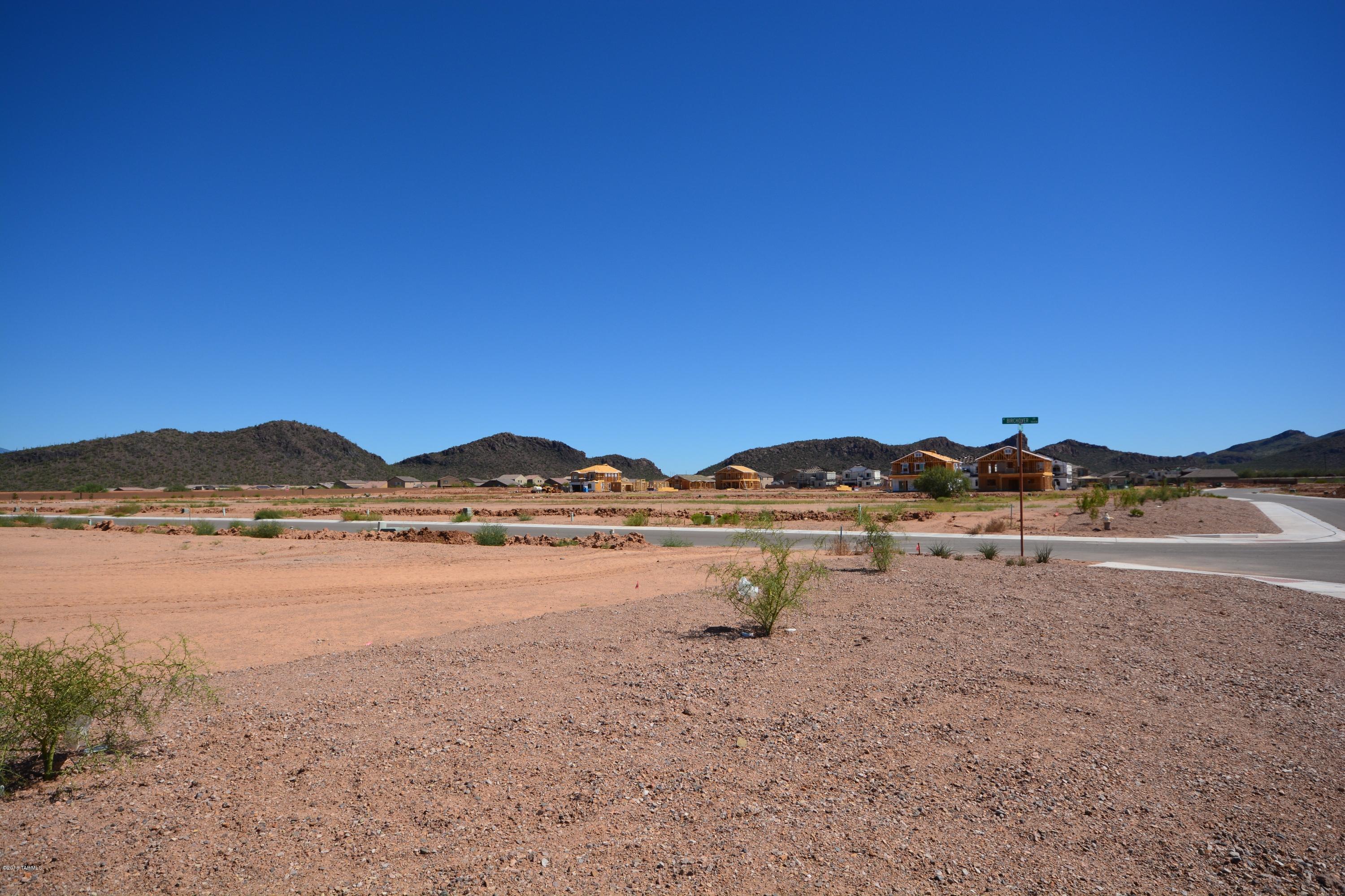 Saguaro Springs Block 8B (131-399) - Residential