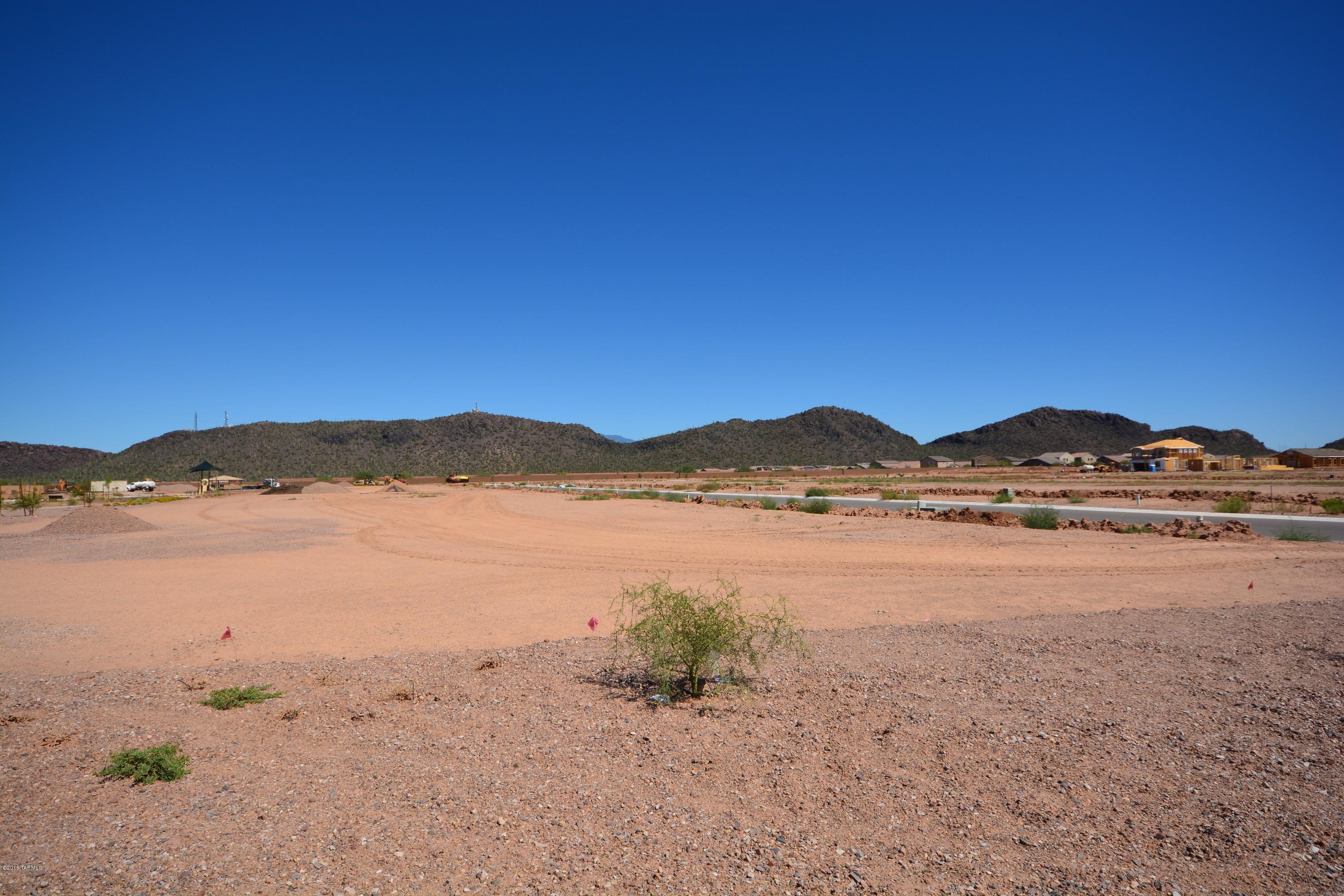 Saguaro Springs Block 8B (131-399) - Residential