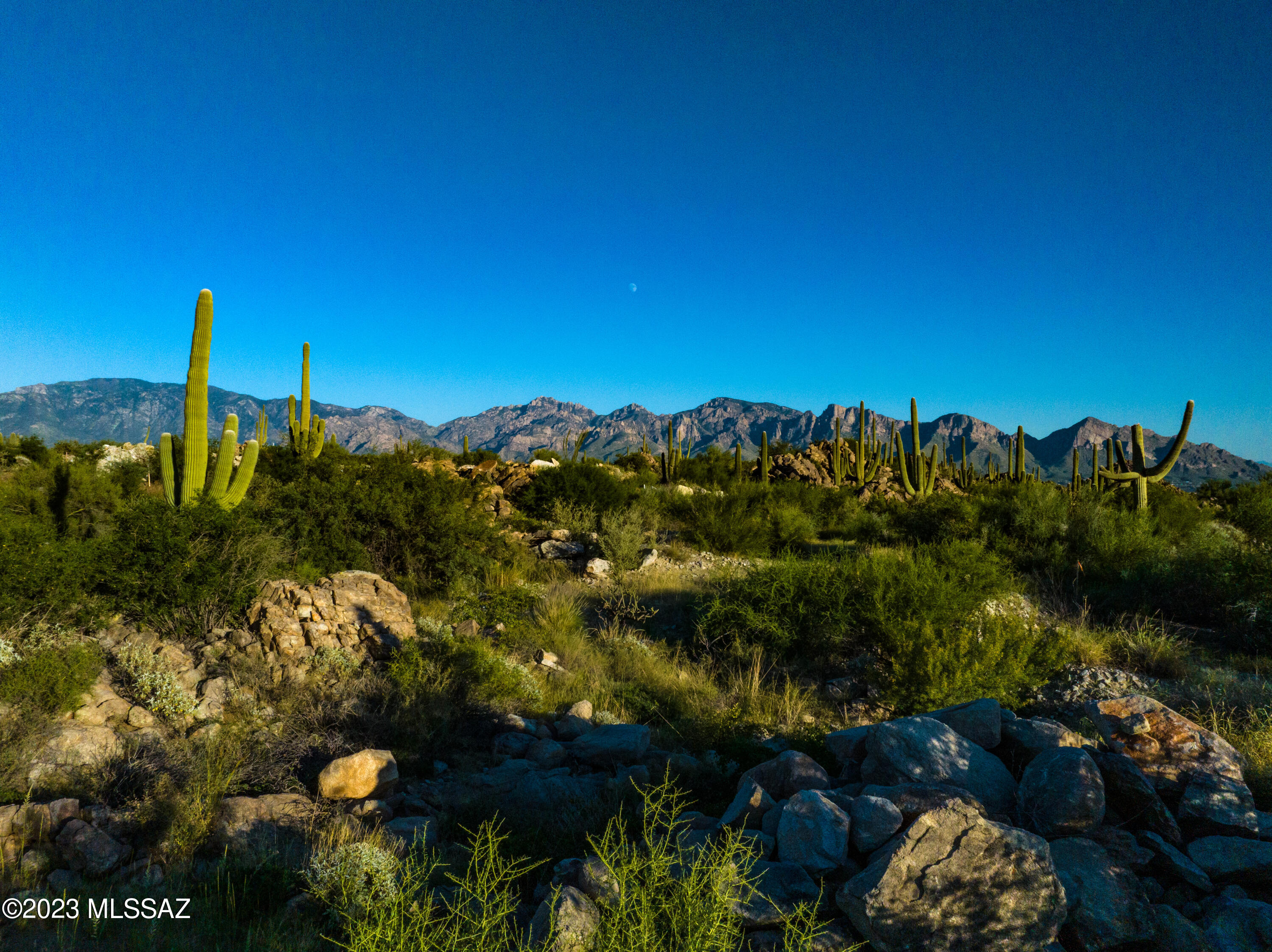 Range Listing: Imagine owning a canvas adorned with the most breathtaking frames nature can offer - expansive vistas of Southern Arizona's enchanting landscapes, the majestic Catalina & Tortolita mountains, majestic saguaros and rock formations. Our hand-picked lots have been meticulously chosen for their unbeatable views, eagerly awaiting the creation of a home that will seamlessly blend with this painted natural wonder.

ONEOak, is a seasoned custom builder, poised to bring your vision to life with a home tailored precisely to your desires. Expect nothing less than the finest in craftsmanship, premium materials, luxurious amenities, and exquisite finishes, all framed by uninterrupted views from every window.
ONEOak works with the best architects that the SouthWest has to offer. **Please note that these lots are builder owned and will be sold ONLY using builder contract.