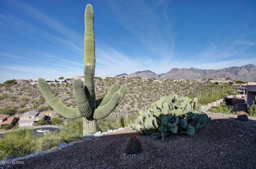 Sabino Mountain (1-290) - Residential