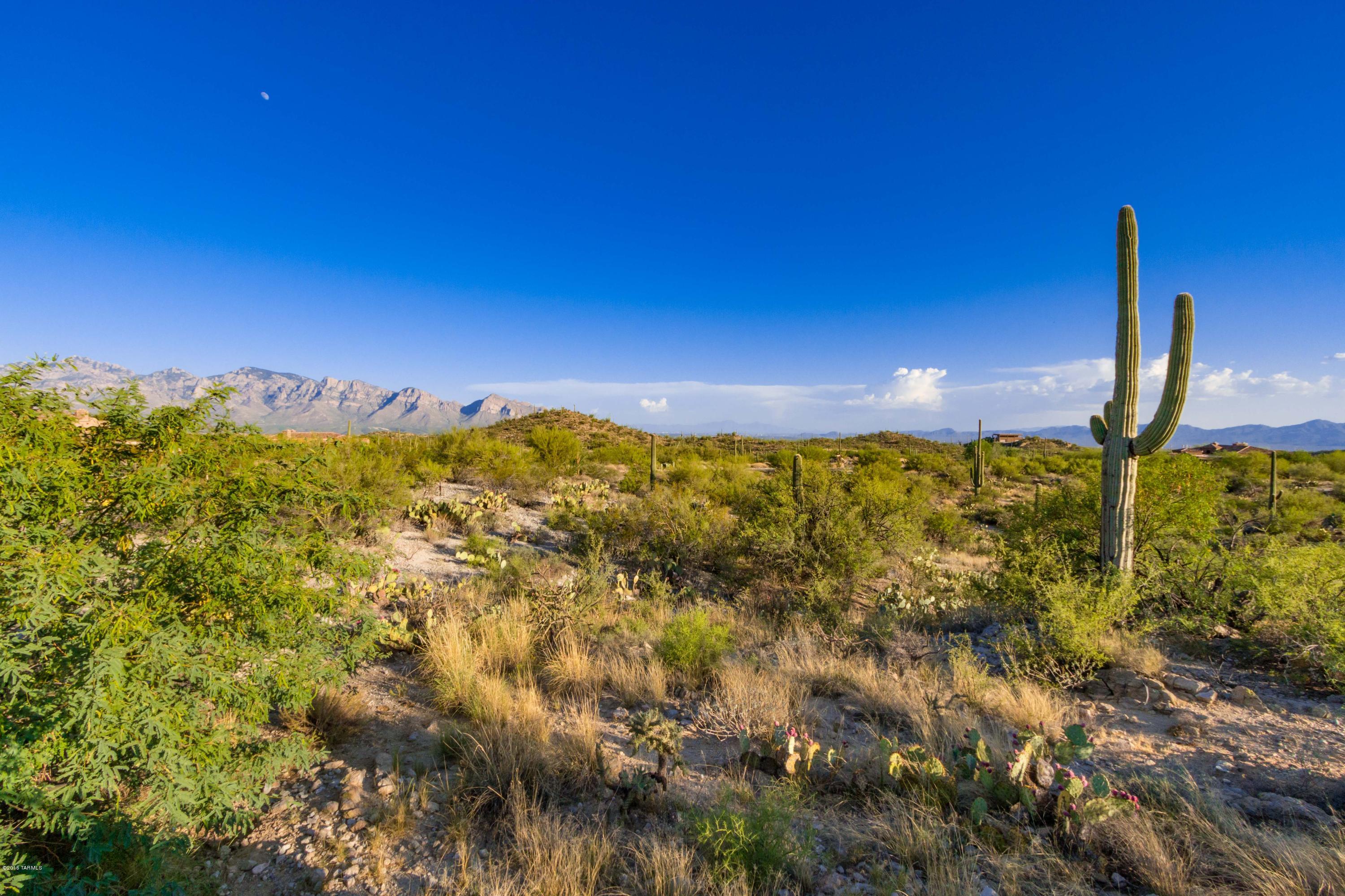 Stone Canyon III - Residential