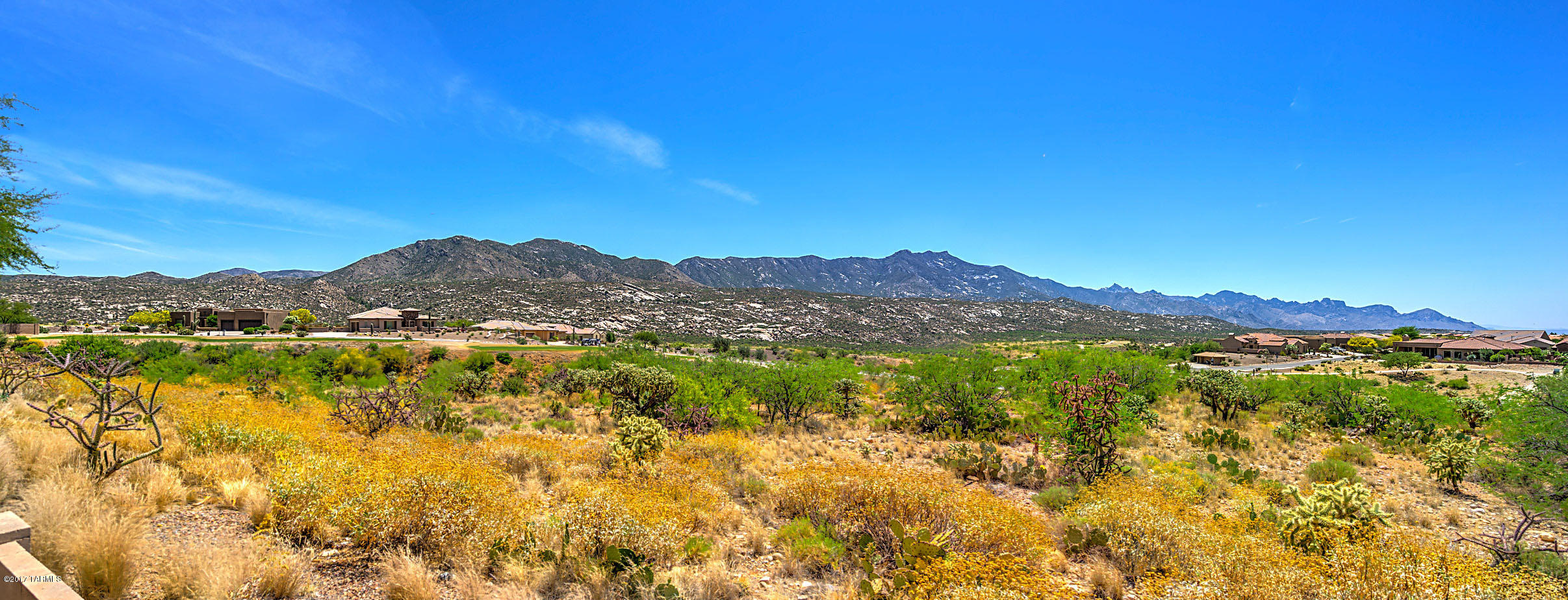 Saddlebrooke - Residential
