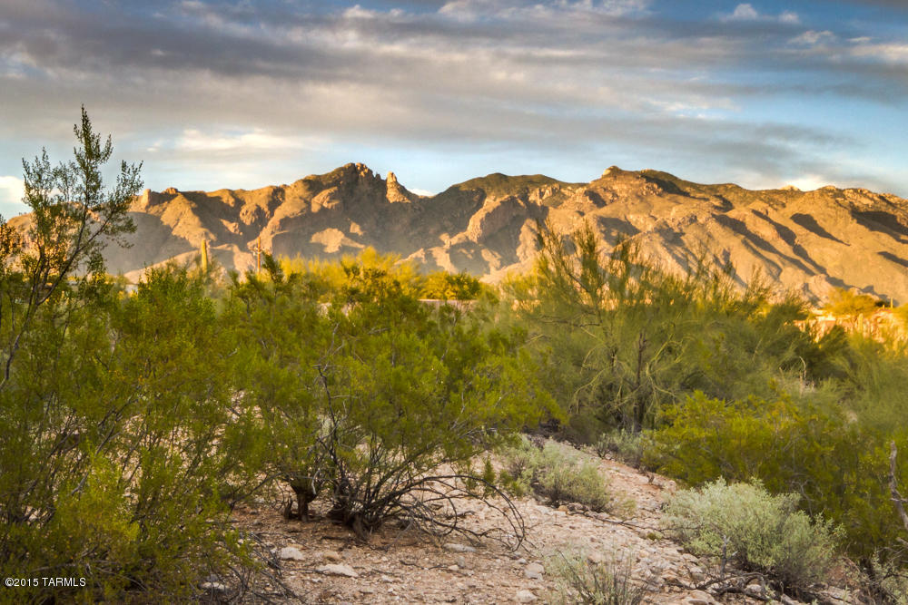 Catalina Foothills Est. NO. 10 (73-90, 119, 121, 123, 127-146) - Residential