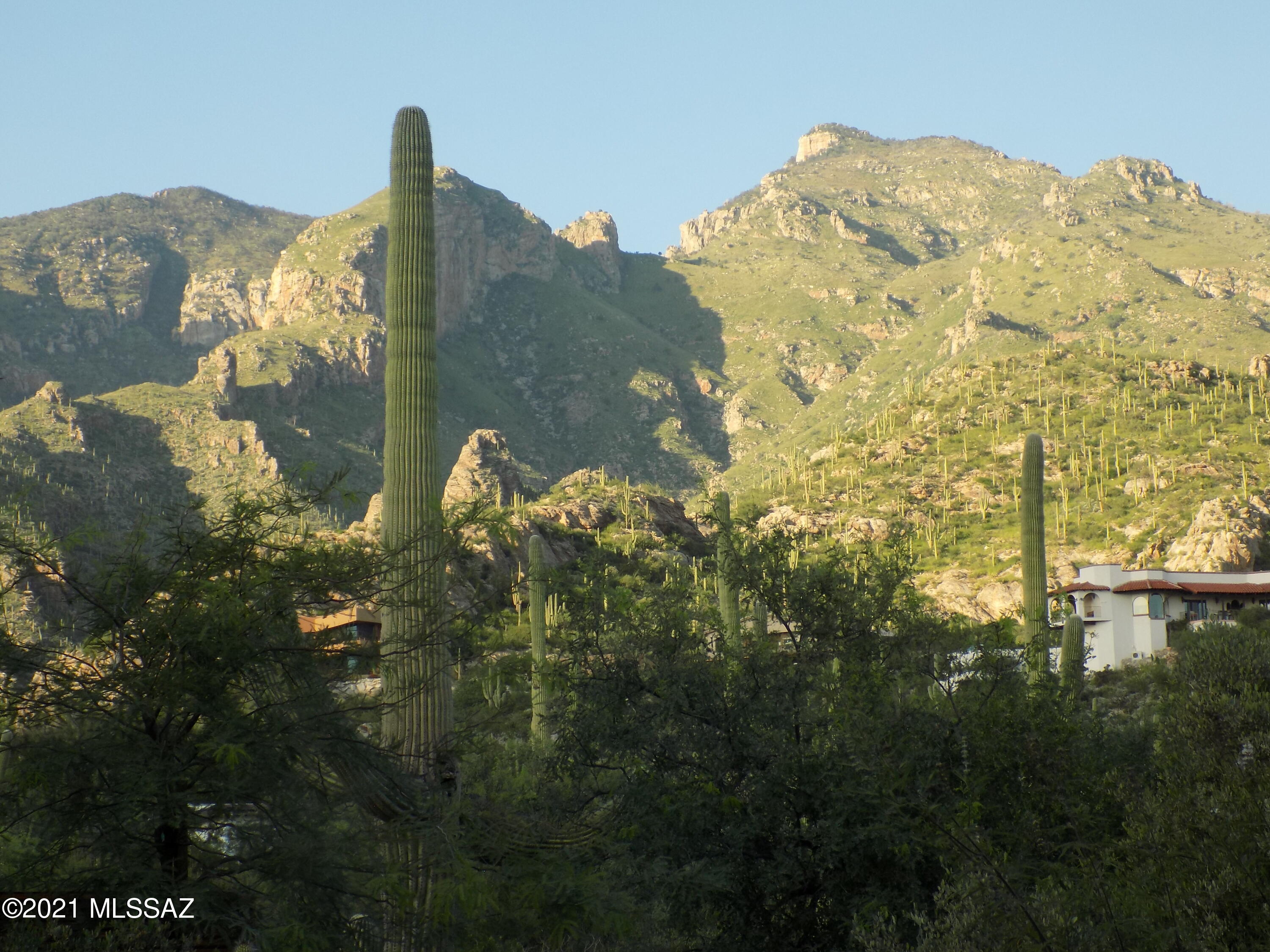 Coronado Foothills Estates - Residential