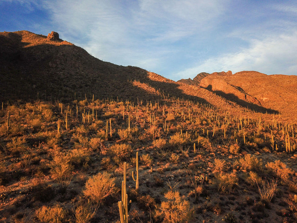 Pima Canyon Estates (1-14) - Land