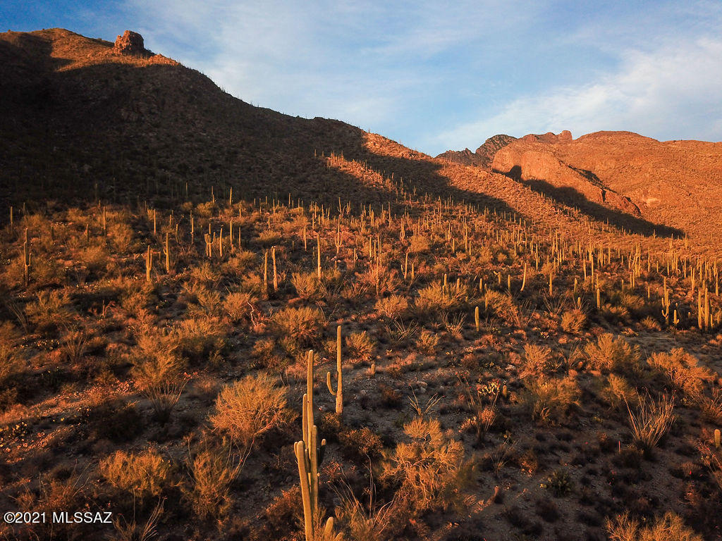 Pima Canyon Estates (1-14) - Land