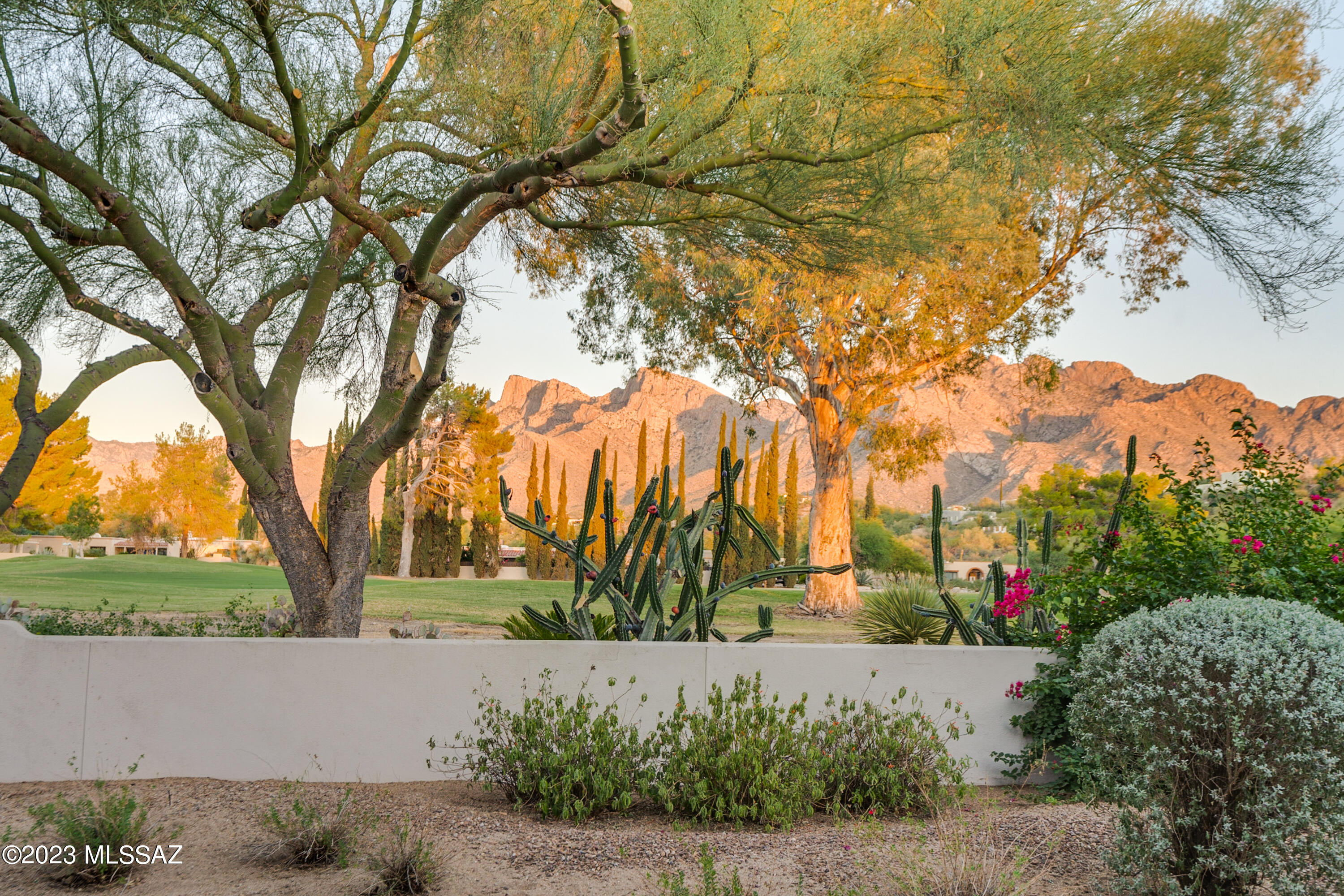 Oro Valley Estates - Residential