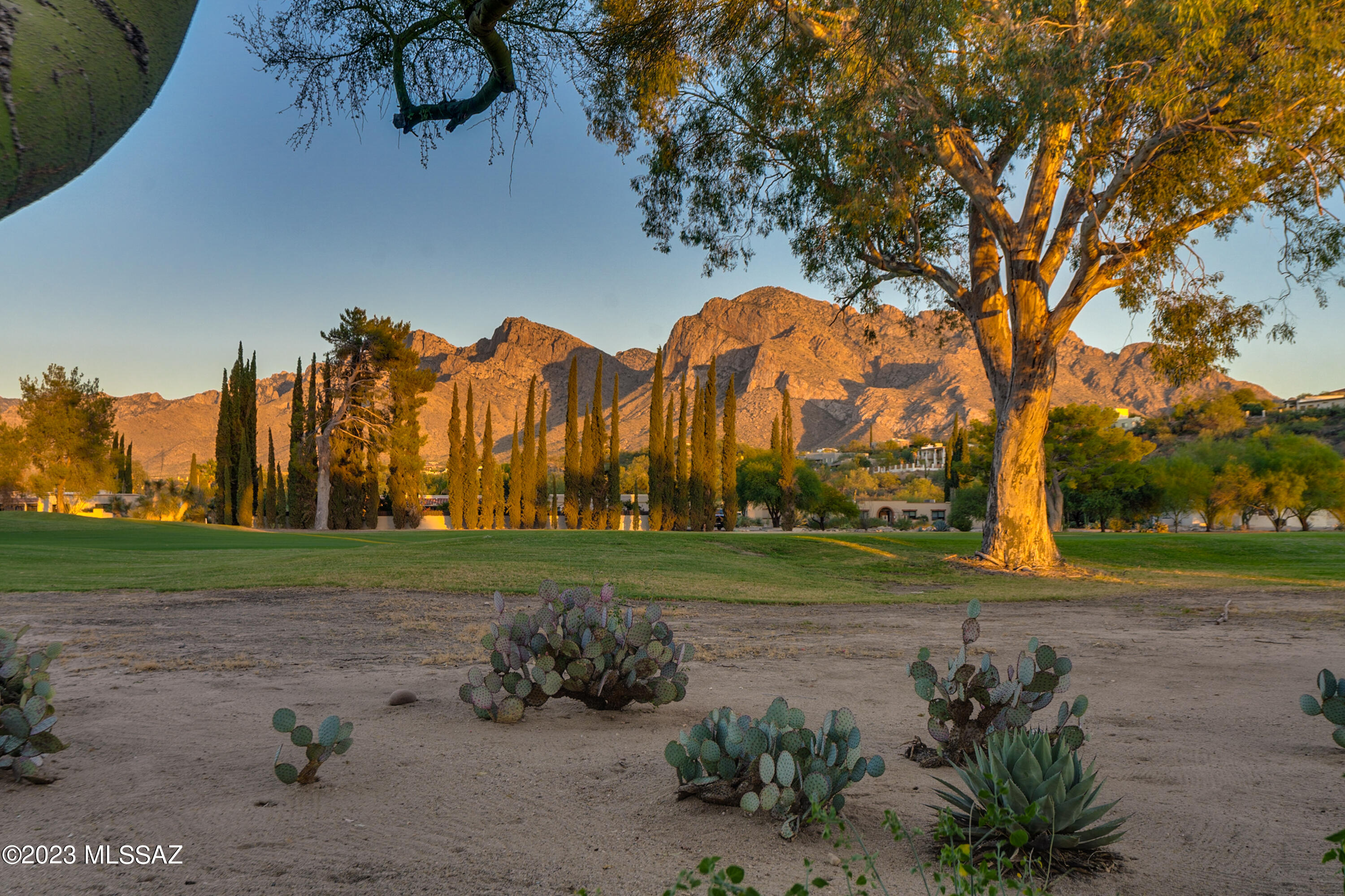 Oro Valley Estates - Residential