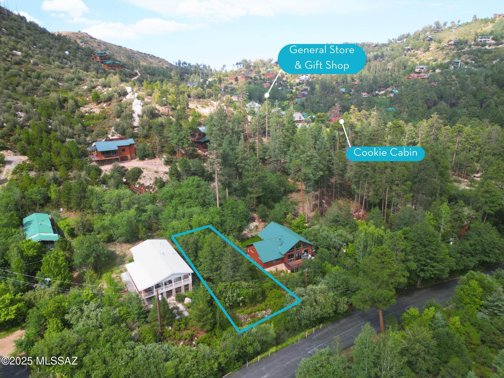Discover your mountain retreat on this incredible opportunity nestled in the heart of Mt. Lemmon. Surrounded by towering pines and crisp alpine air, this property offers a peaceful escape from the desert heat and the perfect setting for a custom mountain cabin. The seller has architectural plans available for a thoughtfully designed cabin, or bring your own vision and create a one-of-a-kind getaway tailored to your lifestyle. A survey was also performed with elevations measured, available upon request. With no septic currently installed, buyers have the flexibility to design their build-out from the ground up. Owning a property on Mt. Lemmon means the opportunity to enjoy four distinct seasons, cool summers, golden fall foliage, snowy winter adventures, and fresh spring blooms. Outdoor enthusiasts will love the proximity to hiking trails, skiing, rock climbing, and year-round recreation, all just an hour from Tucson. Whether you dream of cozy weekends by the fire or hosting friends for stargazing under the mountain skies, this property is your canvas for the Mt. Lemmon lifestyle.