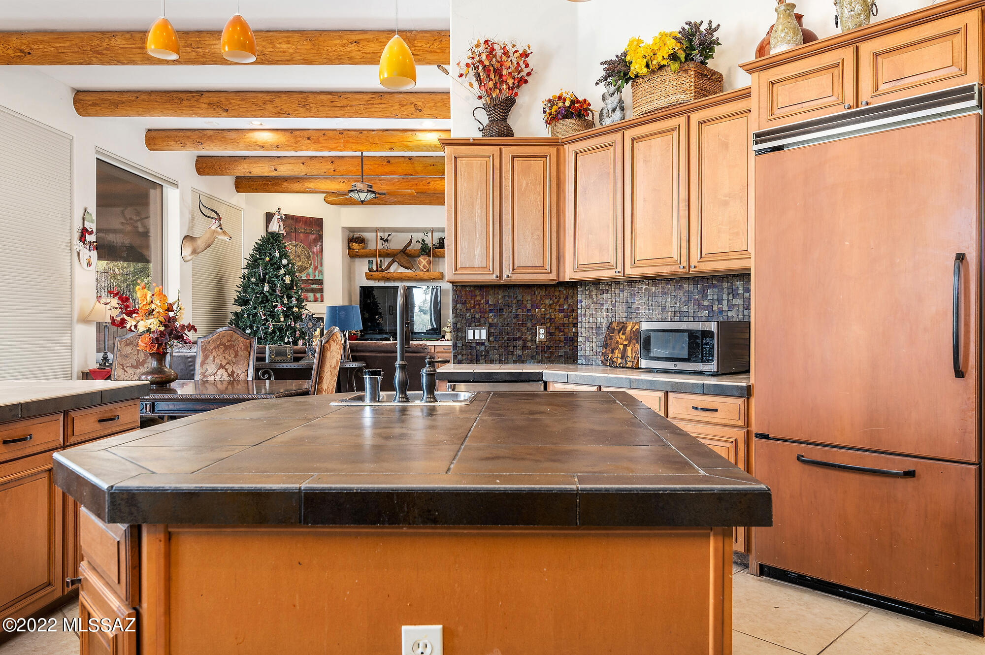 Flecha Caida Ranch Estates NO. 3 - Residential