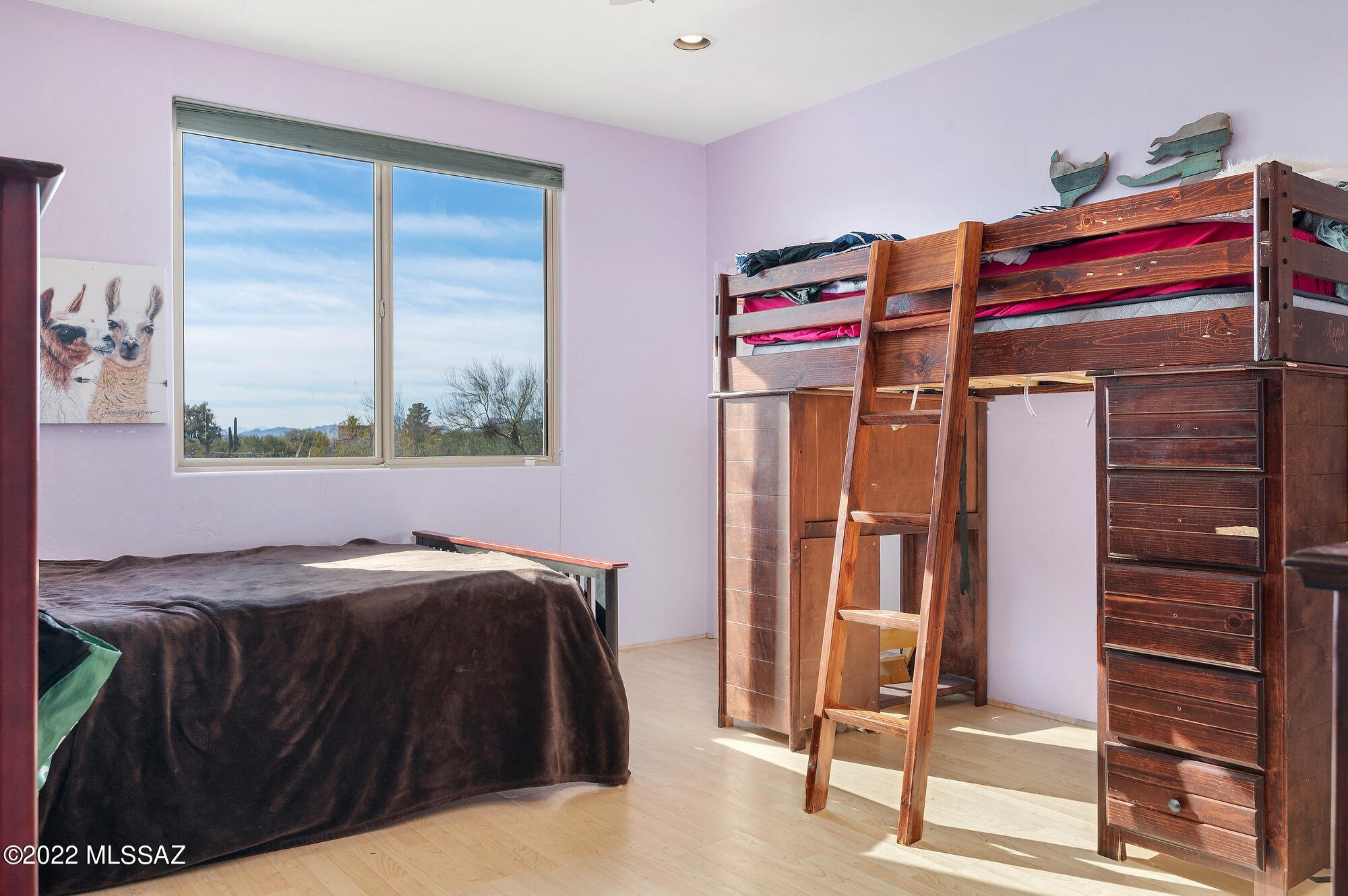 Flecha Caida Ranch Estates NO. 3 - Residential