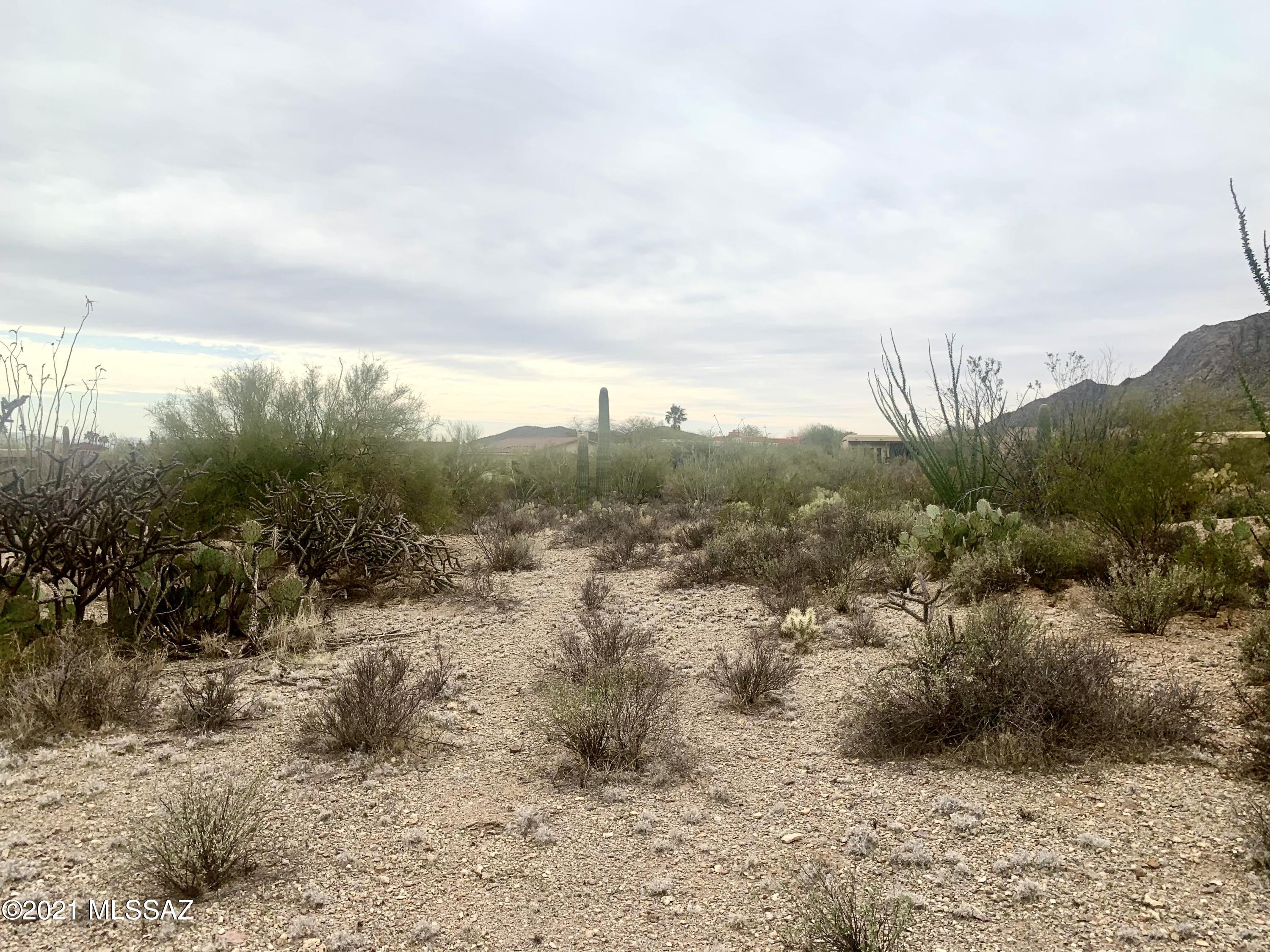Tucson Estates NO. 2 (1-560) - Land