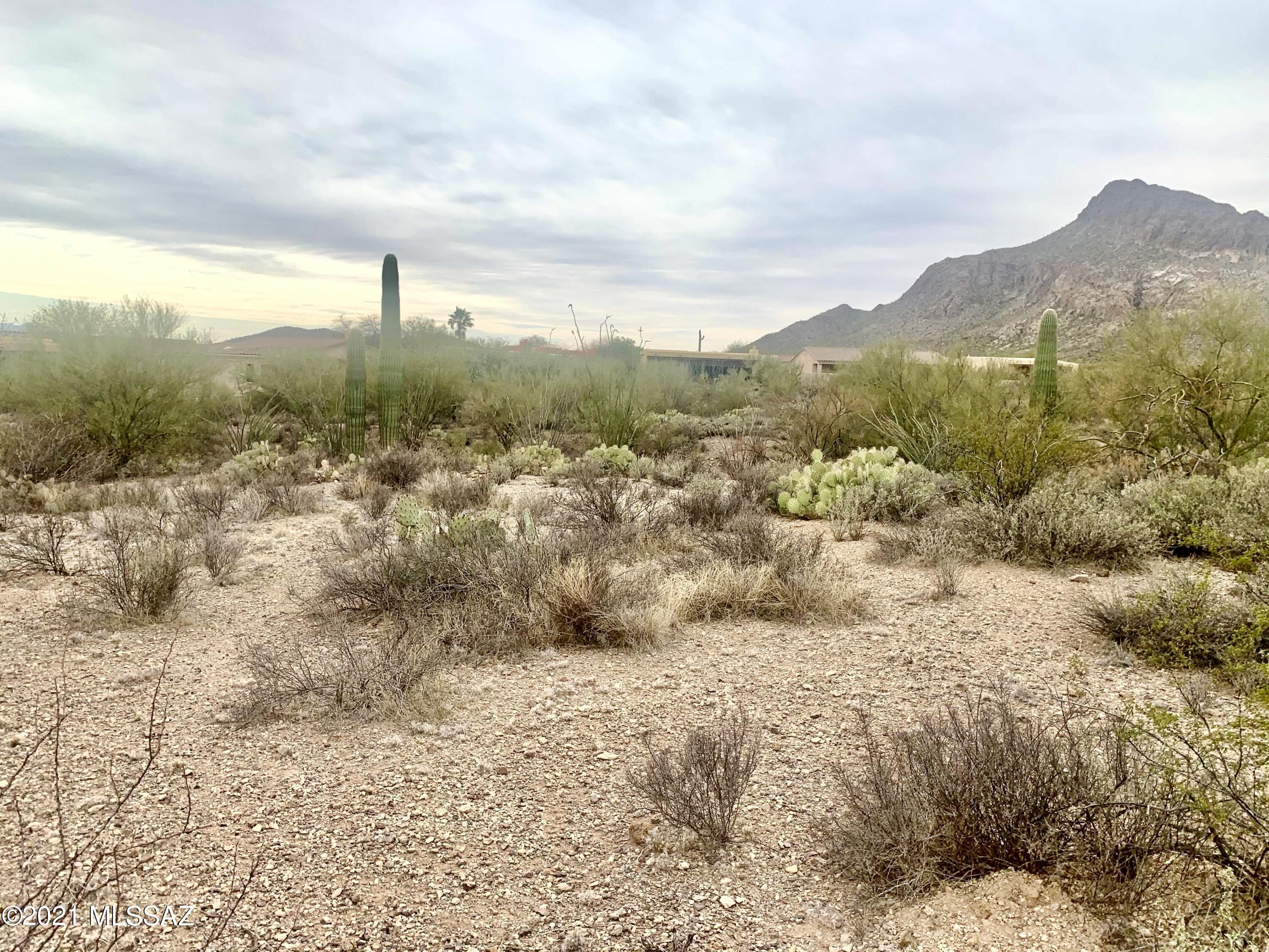 Tucson Estates NO. 2 (1-560) - Land