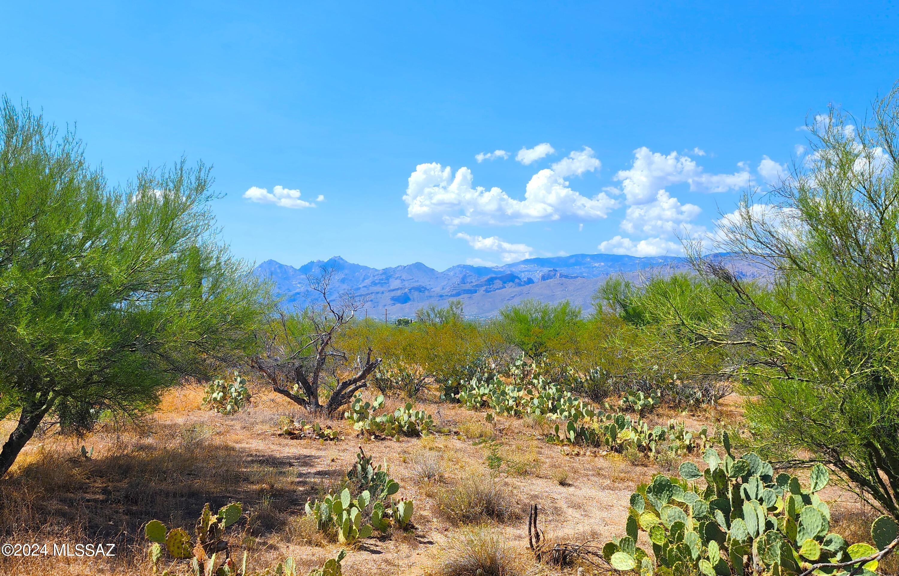 Wild Horse Ranch Estates (1-66) - Residential