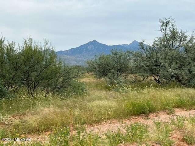 Beautiful acreage which you can build on now or later with the builder of your choice.  Currently zoned General Rural so taxes are low.  Septic & well will be necessary