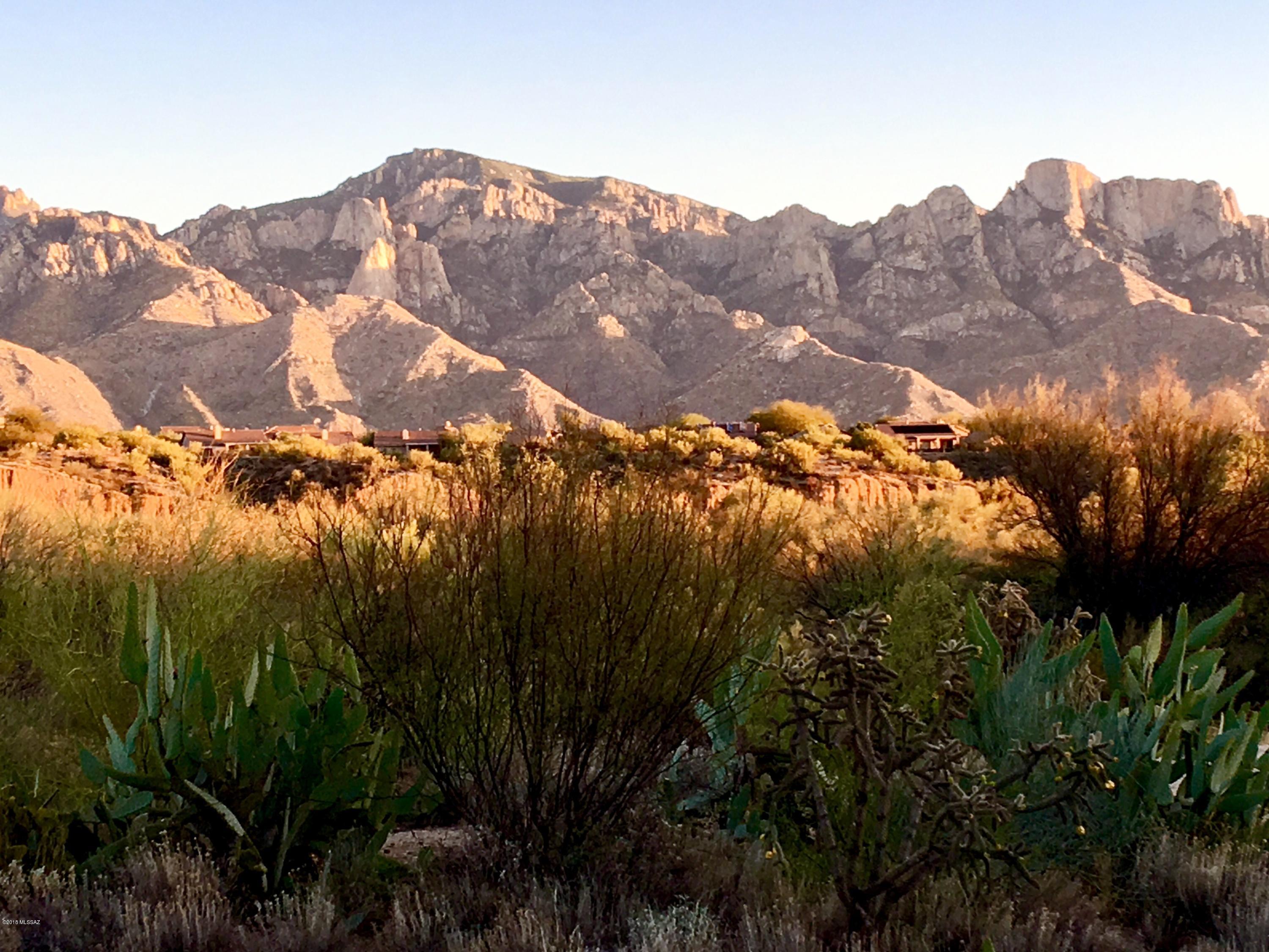 A RARE find,a beautifully appointed 2bd/2ba Mayfair model provides a comfortable open floor plan maximizing the dramatic & unobstructed panoramic views of the Catalina Mountains. The updated kitchen & baths feature custom refinished cabinetry & granite counter tops. Wood floor laminate throughout, with a stone threshold from the courtyard patio entrance. Bay window seating with floor to ceiling built-in bookcases create a perfect study/library adjacent to the den/studio. Expansive window line throughout dining room, & master bedroom, floods the house w/light from morning sunrise! Extra closets & built out storage in garage. Rear patio paved w/brick completes the entertainment setting. Front private courtyard patio, paved w/brick, provides a perfect setting for the sunsets!