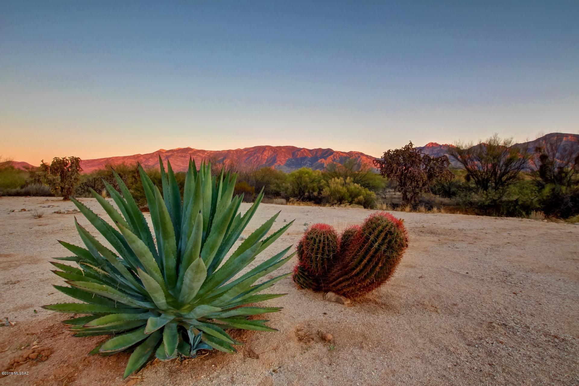 Sun City Vistoso Unit 12(1-277) - Residential
