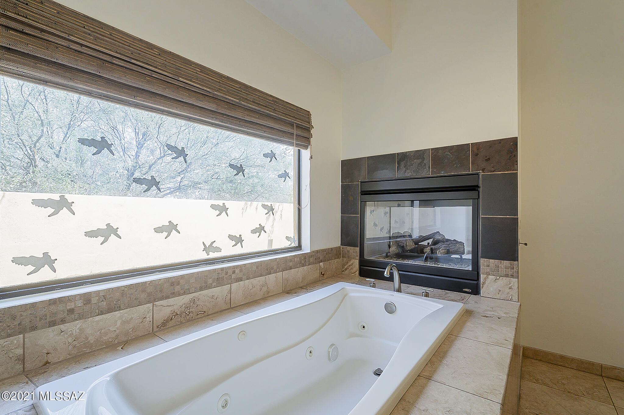 Saguaro Cliffs (1-61) - Residential