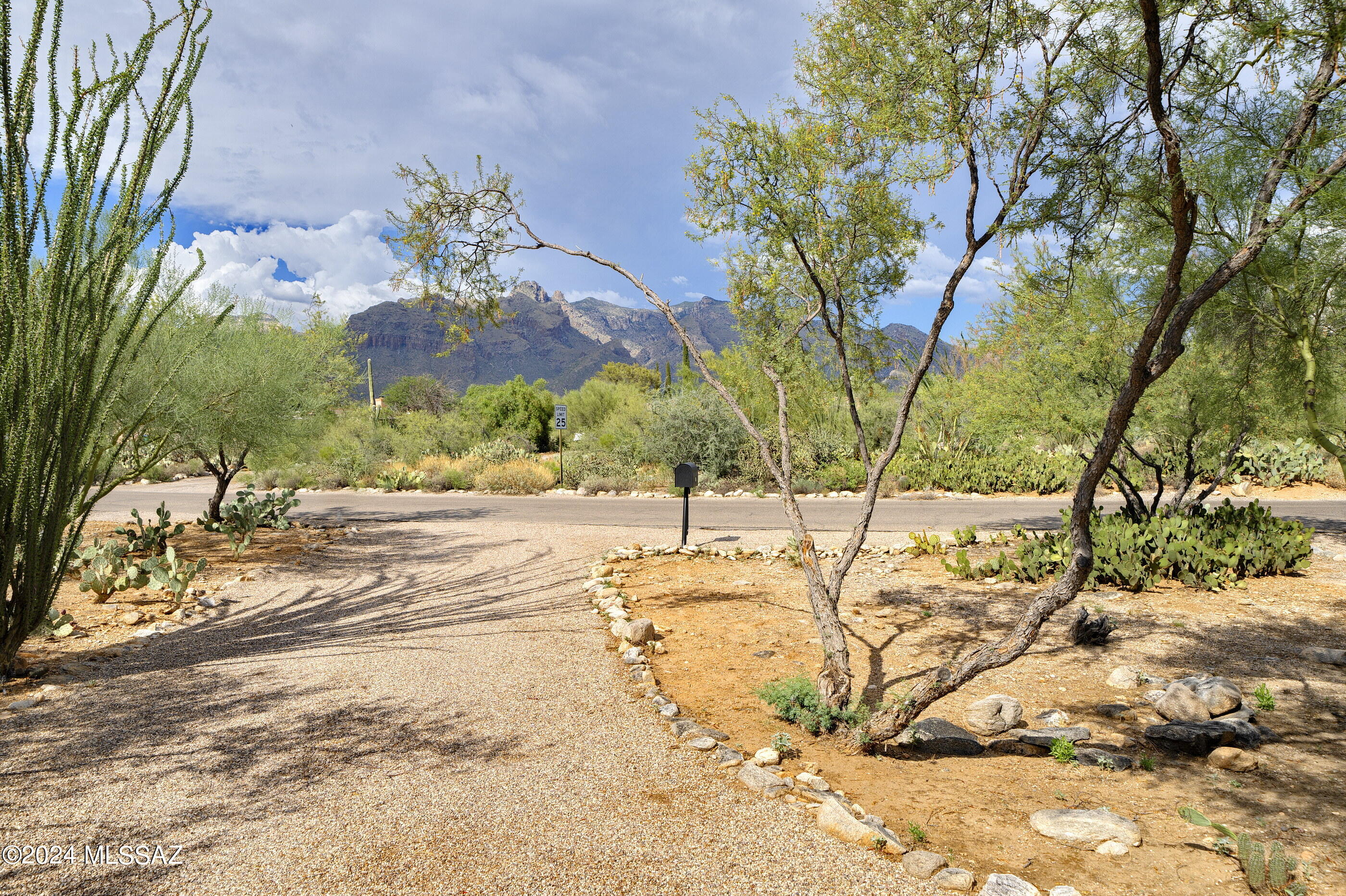 Catalina Foothills Est 8 - Residential