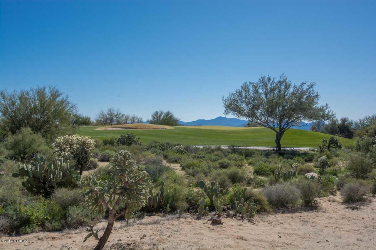 Dos Lagos at Dove Mountain (1-91) - Residential
