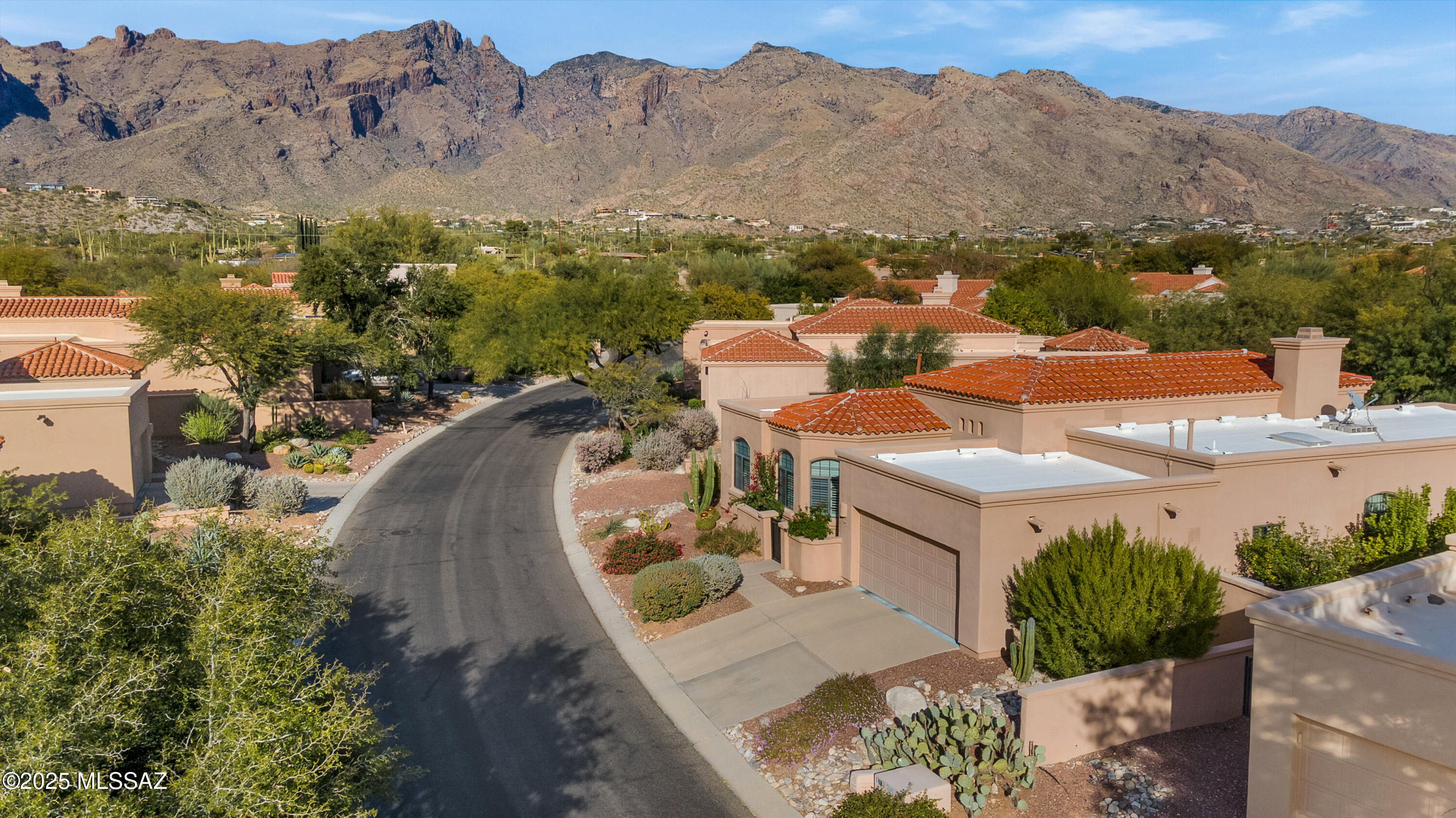 Wonderful La Paloma. Vaulted ceilings as you enter. Four bedrooms, two and one half bathrooms. Updated kitchen with custom cherry cabinets, with full extension drawer slides, granite counter tops, kitchen island with electric cooktop, stainless steel double ovens, dishwasher and refrigerator. Plantation shutters throughout. Neutral 20'' ceramic tile. Multiple recessed can lights. Beautiful built in Cherry book shelves in the living room with gas fireplace. Updated primary bathroom with granite counter tops, custom Cherry cabinetry and Travertine shower surrounds. Large walk-in closet. Heated pool with Pebble-Tec and in-ground pop-up cleaning heads. Separate living room, formal dining area and family room off the kitchen. Several citrus trees. HOA maintains front yard up to courtyard wall.