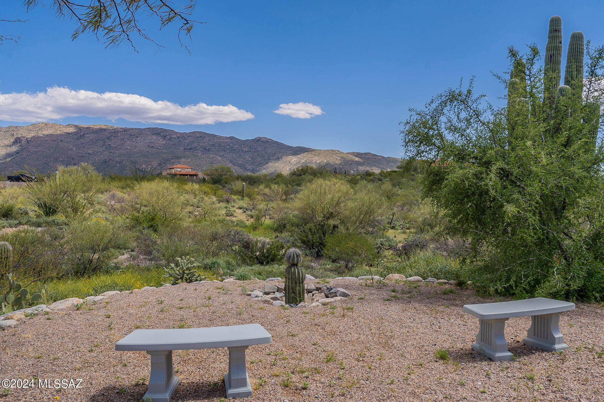 Saguaro Shadows (1-24) - Residential