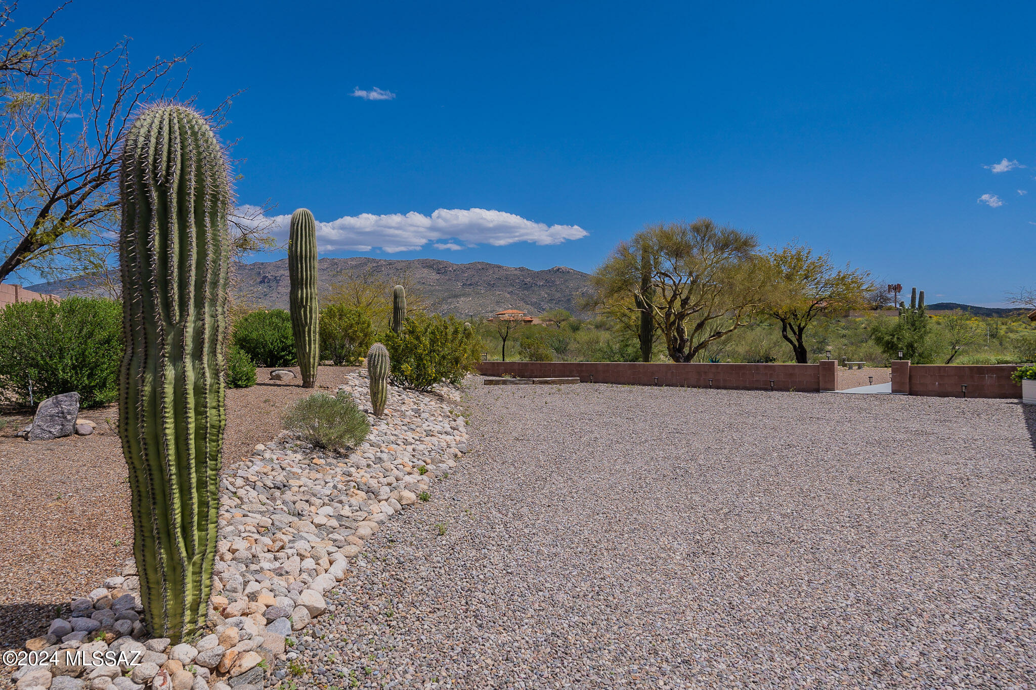 Saguaro Shadows (1-24) - Residential