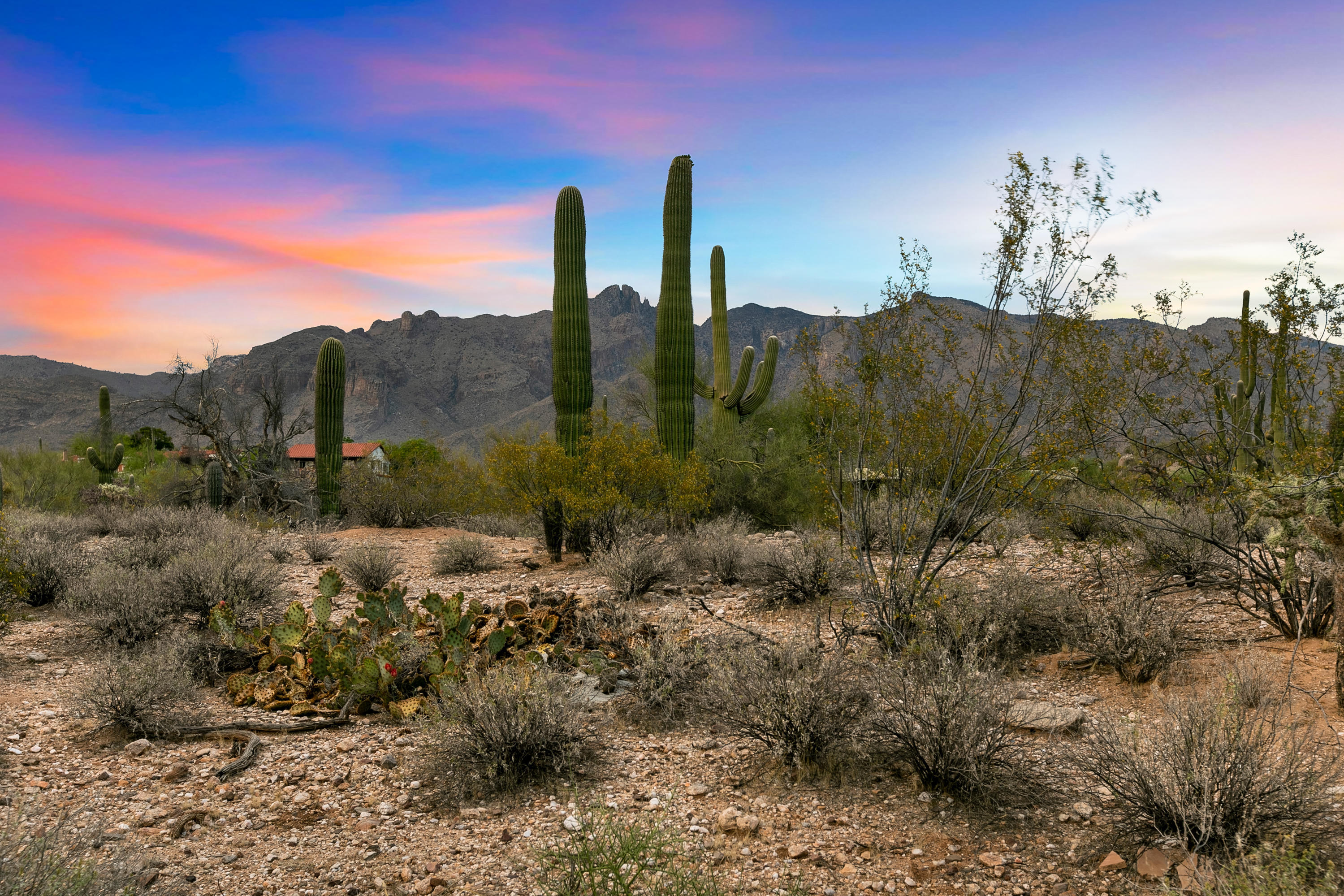 Catalina Foothills Estates NO. 6 (1-54) - Residential
