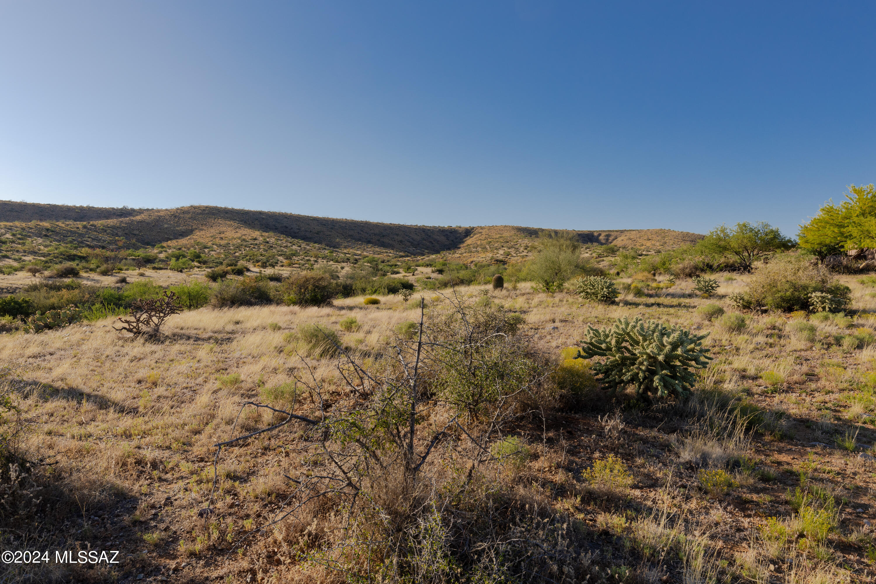 Looking for great mountain views, a fairly easy build site, and bordering vacant land? With gently sloping terrain this 1.33 acre lot delivers on each of those points! Bordering State Trust Land to the west, this parcel offers amazing views all around, including Catalina Mountain views to the east and the southeast. That State Trust Land to the west creates inherent privacy and with no HOA and only minimal building restrictions, this fantastic property provides tremendous flexibility to build the home of your dreams. There are multiple spots on this property which could be used for a small or larger home. Electricity and water are just about 160' away from the lot line. Call for more info, including minor land division, or a tour.