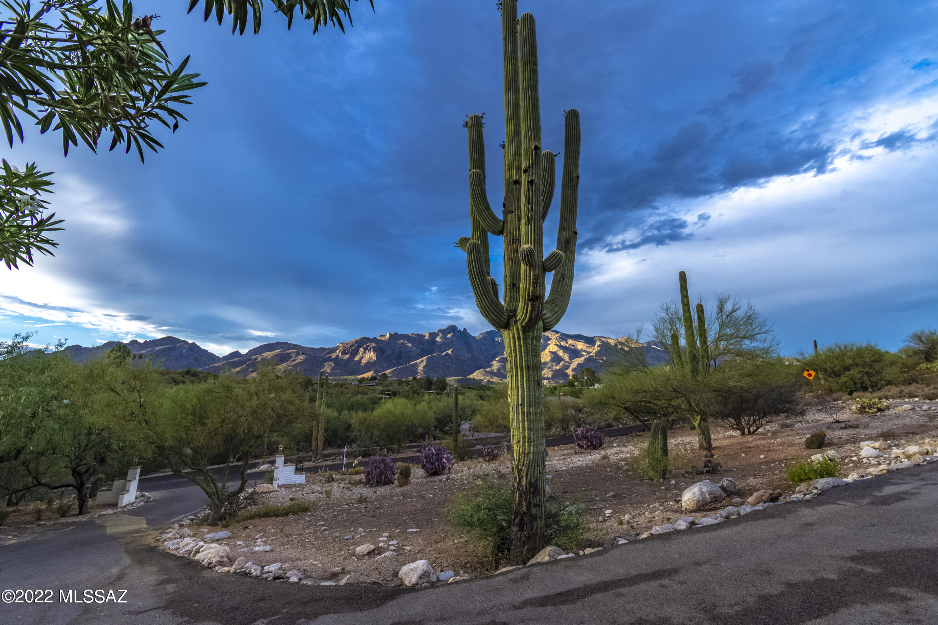 Catalina Foothills Estates - Residential