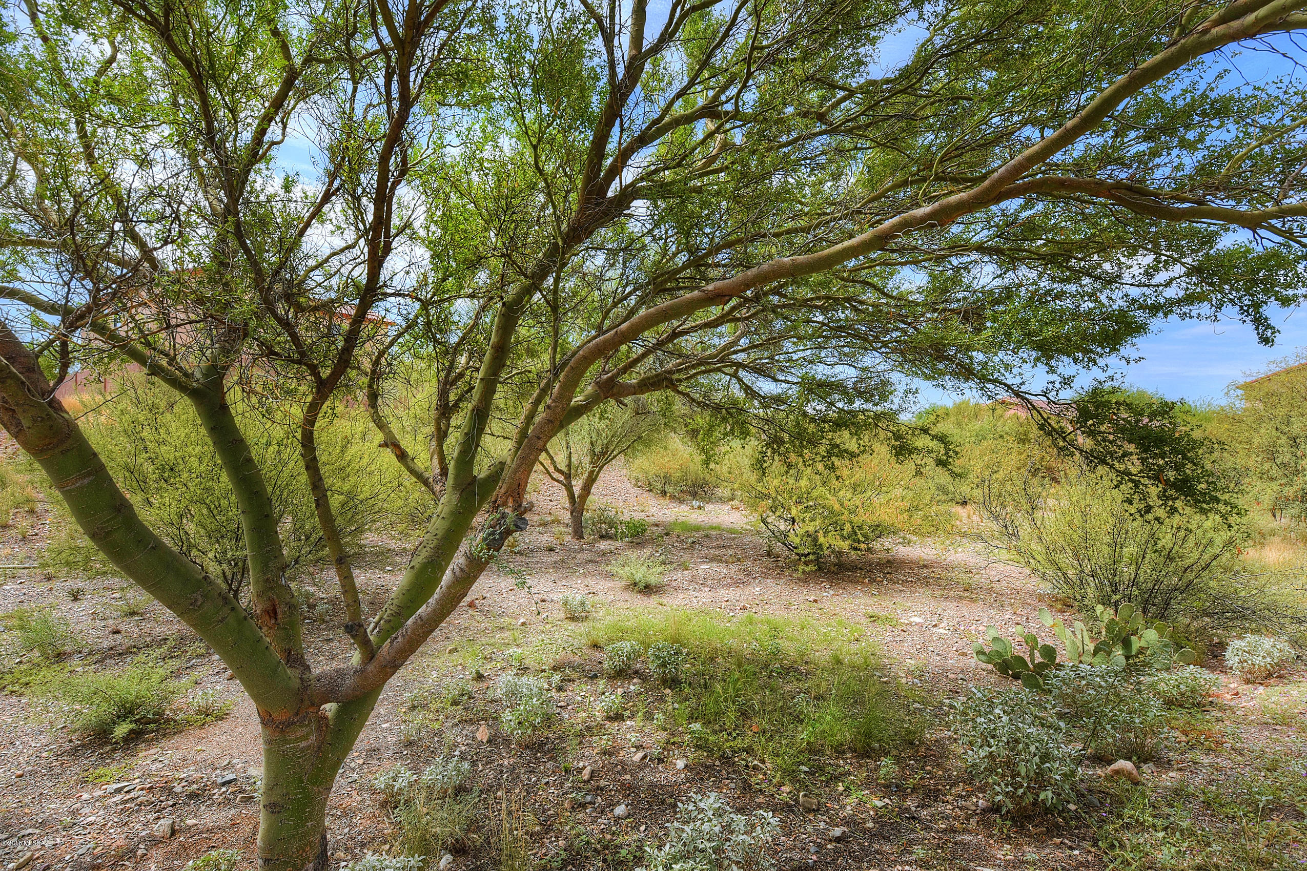 Sycamore Canyon (1-485) - Residential