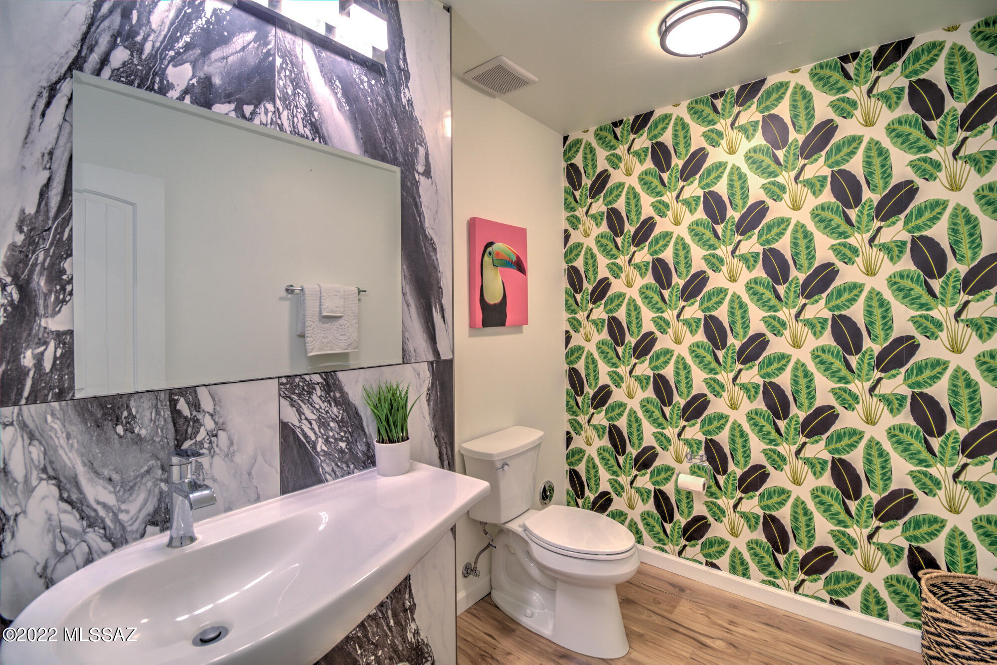 Oracle Foothills Estates NO. 2 - Residential