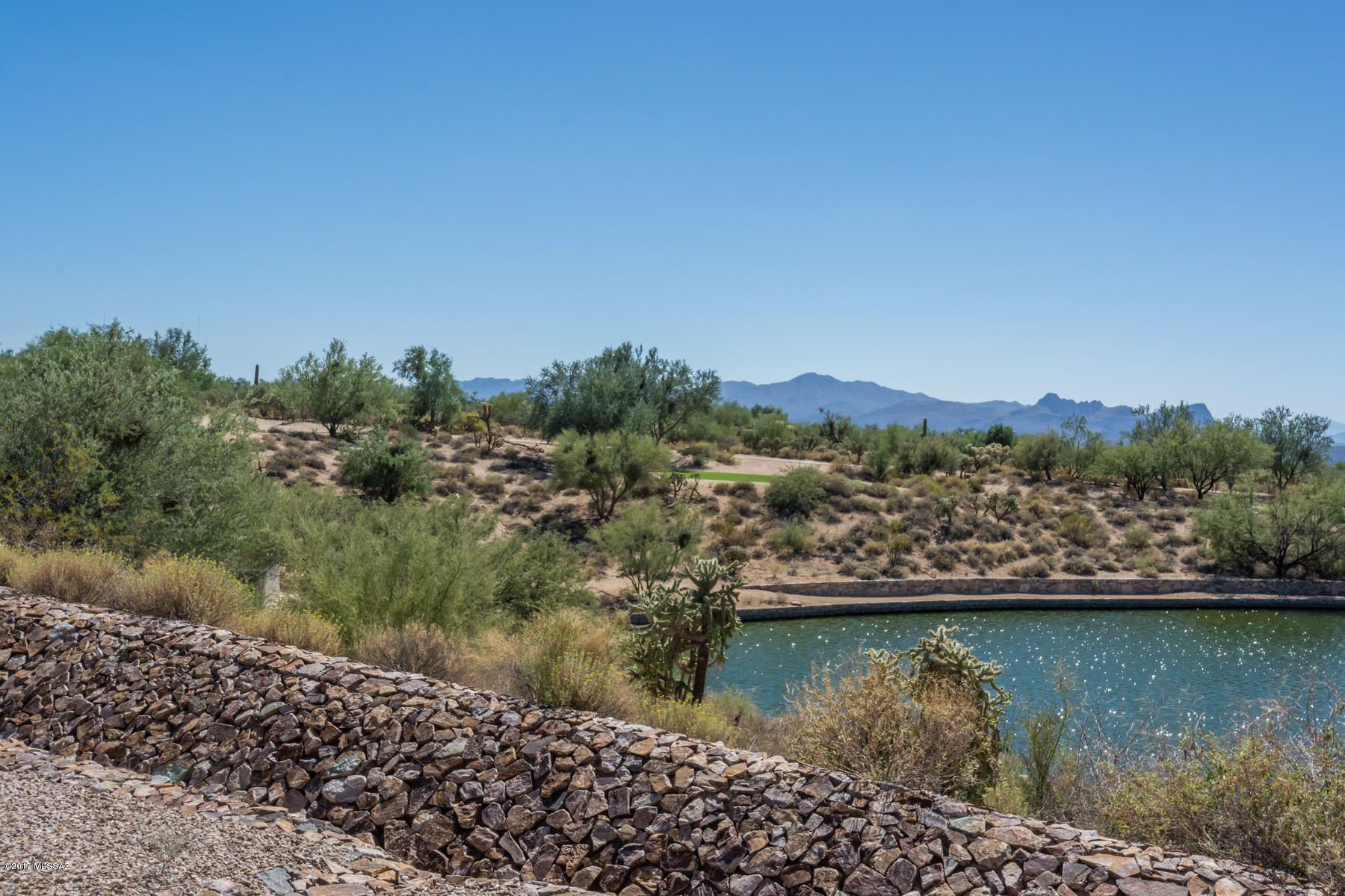 Dos Lagos at Dove Mountain (1-91) - Residential