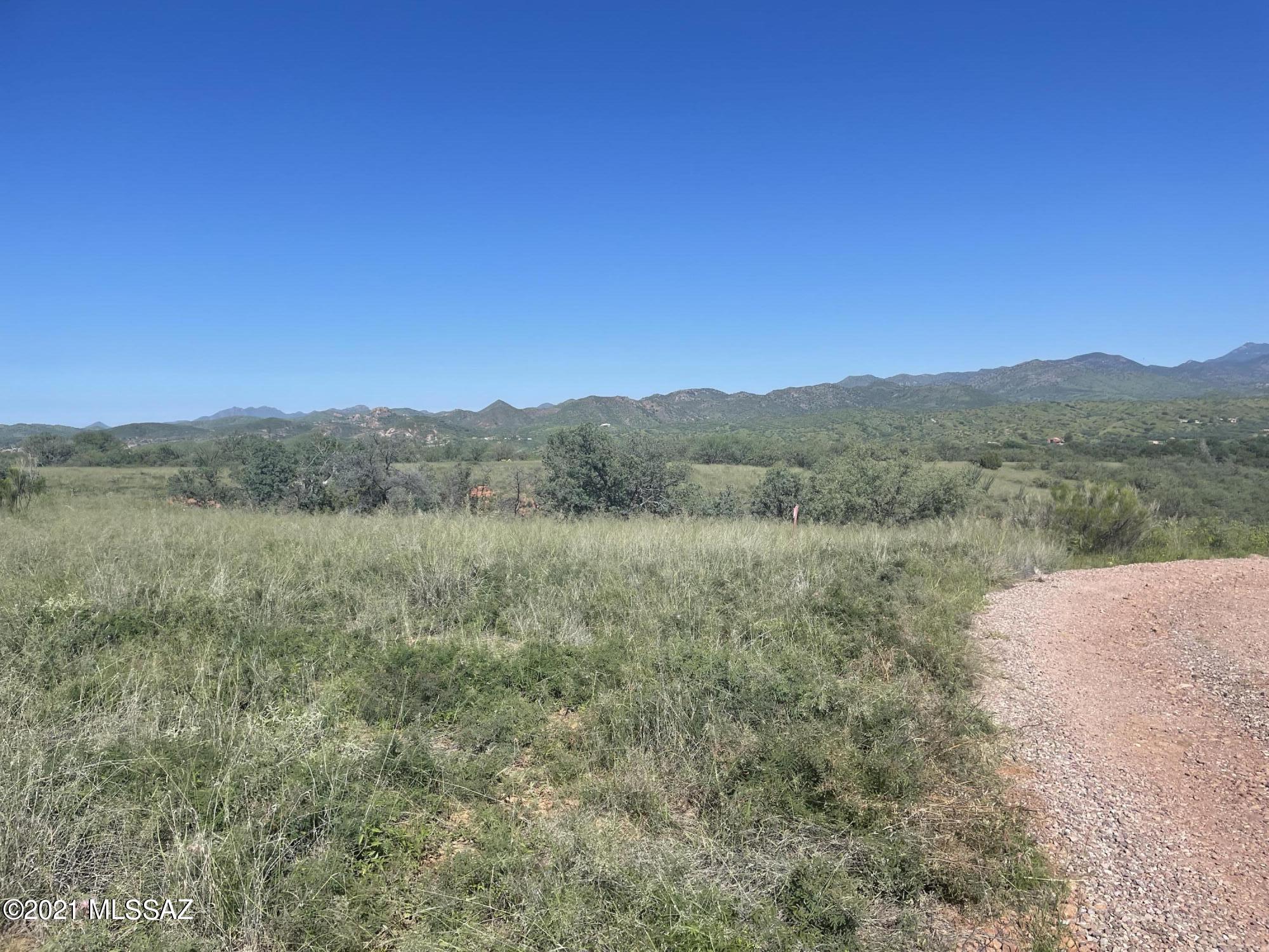 Gorgeous lot in the Mesa.  Mostly flat, easily buildable lot behind the gates in The Mesa.  Patagonia's prestigious and desirable neighborhood.  Incredible views of Santa Rita & Patagonia Mtns.  Walking distance to town, paved roads, underground utilities and water available through shared wells.  The Mesa is a very convenient place to build your dream home.  Thoughtful deed restrictions are in place to protect your investment.  Beauty, convienience,,  privacy and security are all just steps away from the artsy village of Patagonia.