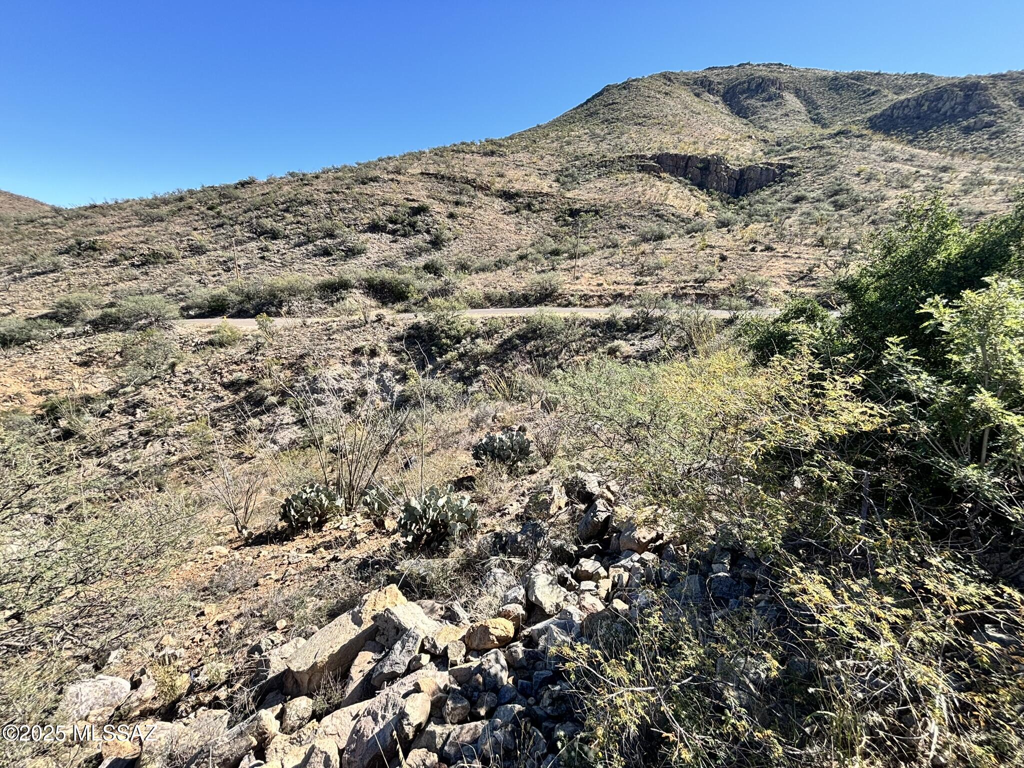 Rio Rico Ranchettes - Land