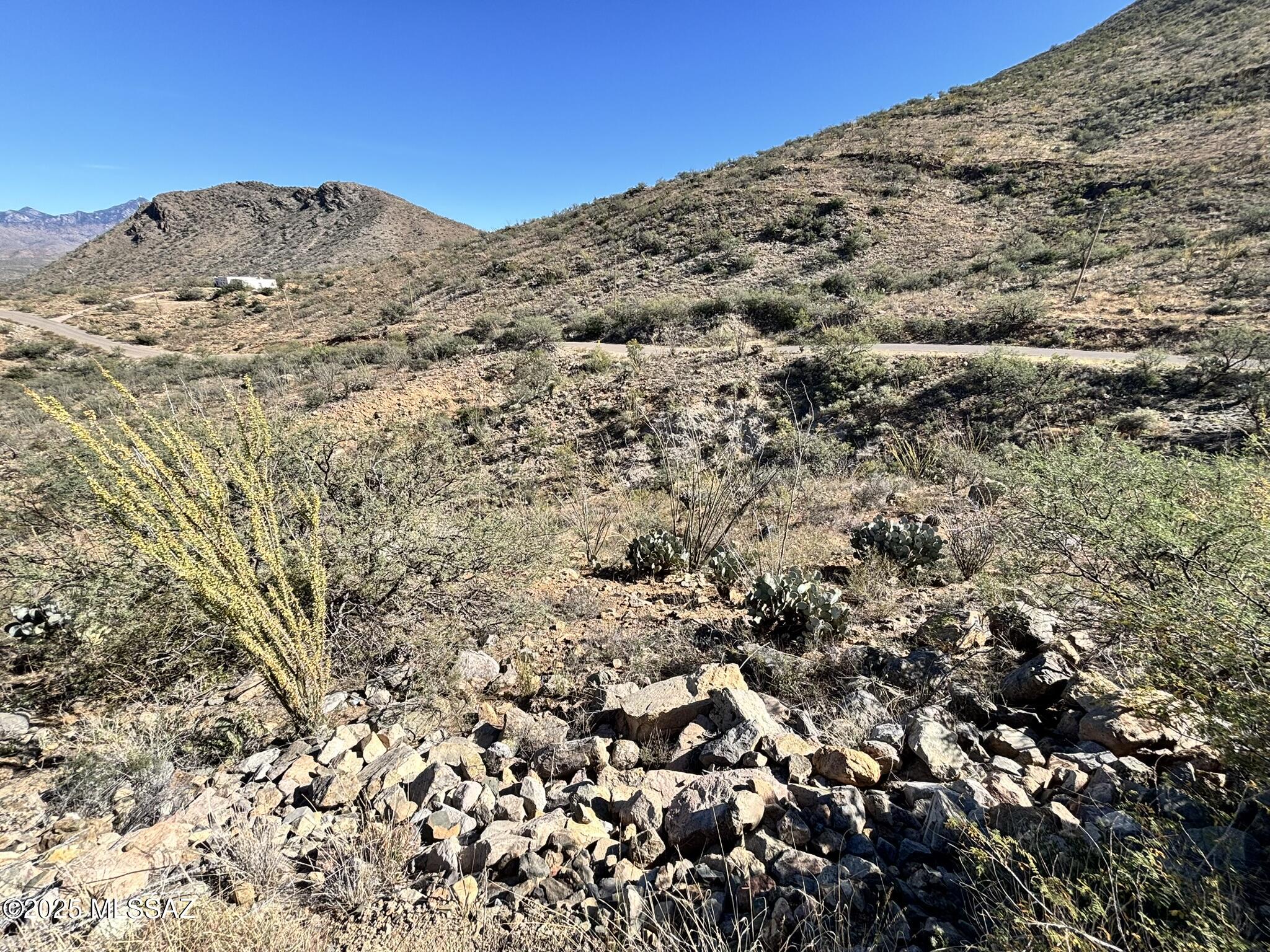 Rio Rico Ranchettes - Land