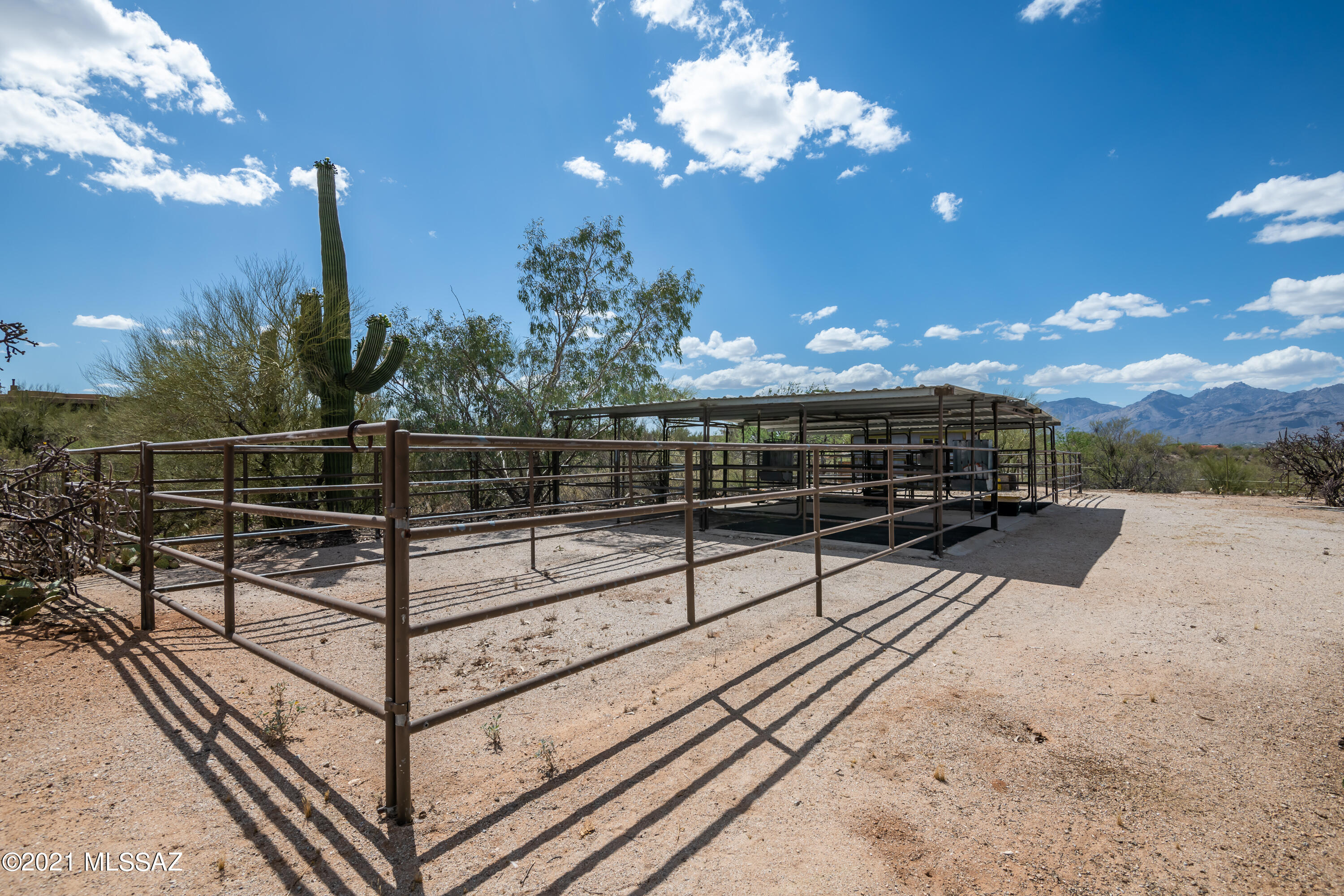 Saguaro Cerro Estates - Residential
