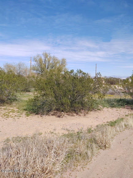 lush desert lot perfect for a mobile or site built home....