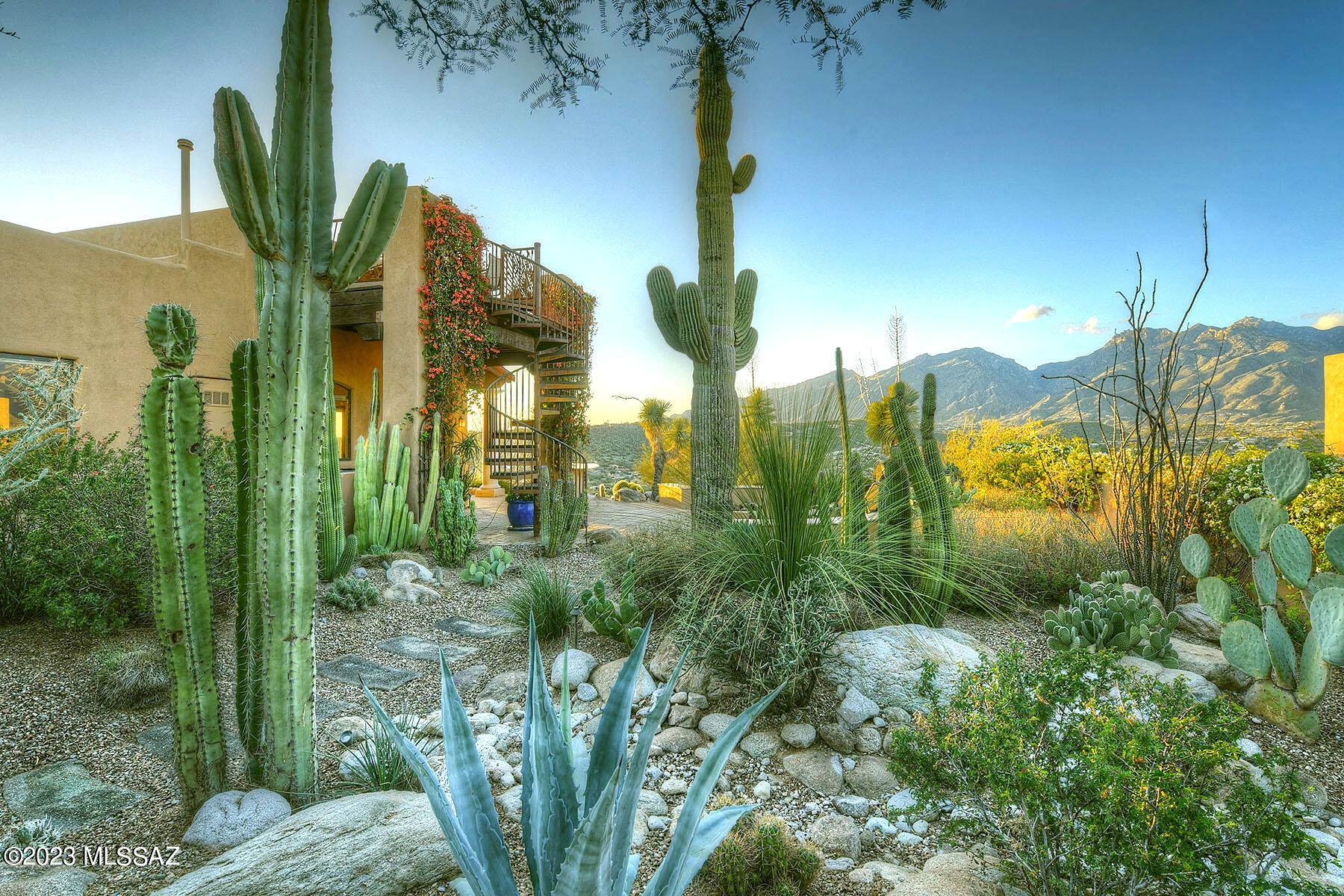 Sabino Mountain (1-290) - Residential