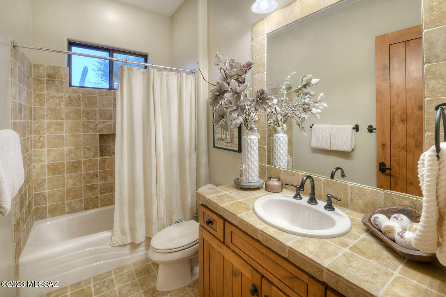 Sabino Mountain (1-290) - Residential