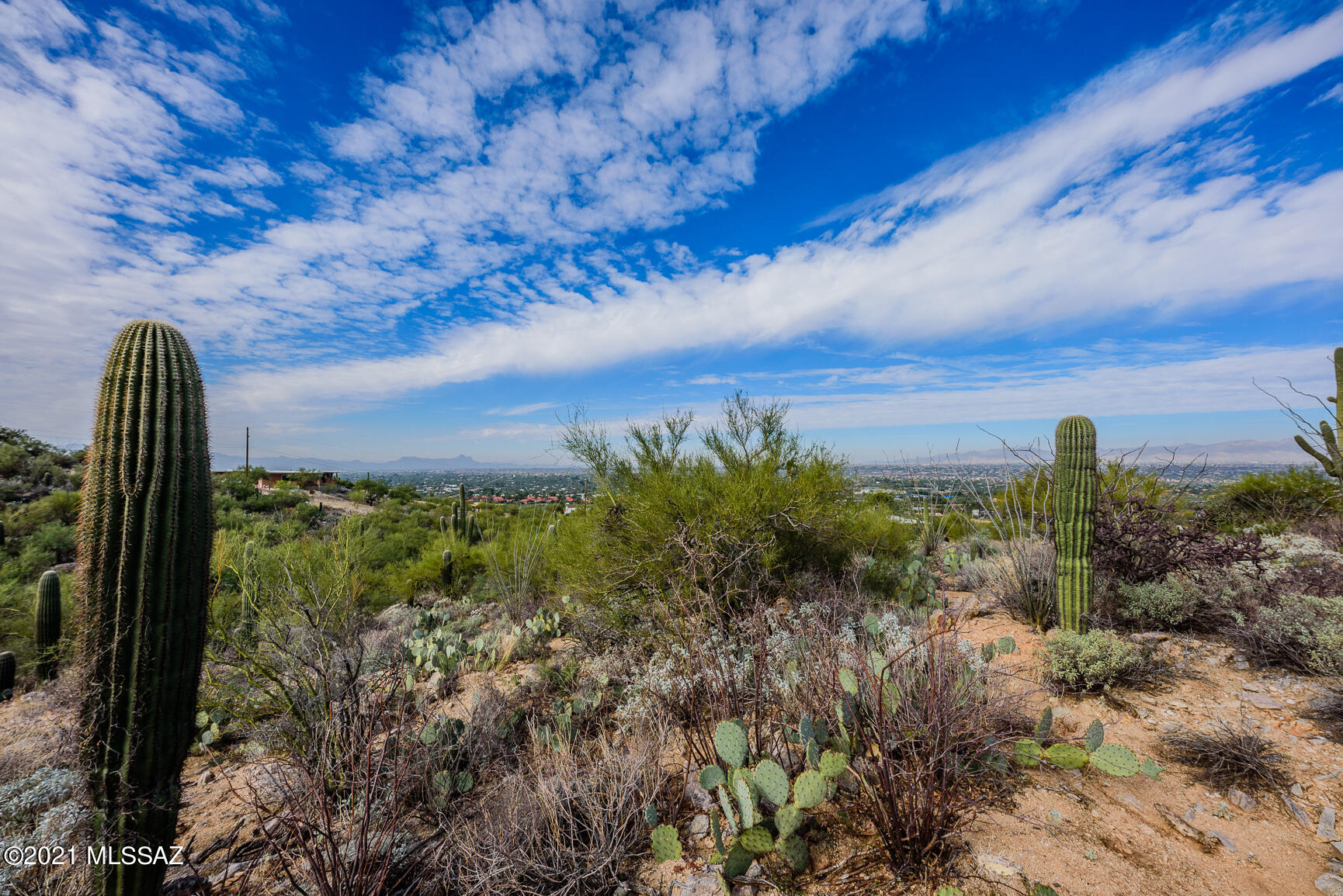 Shadow Mountain Estates - East - Residential