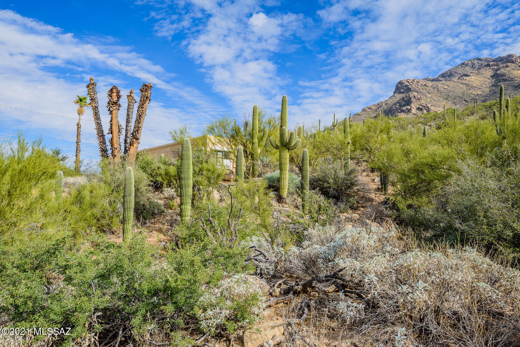 Shadow Mountain Estates - East - Residential