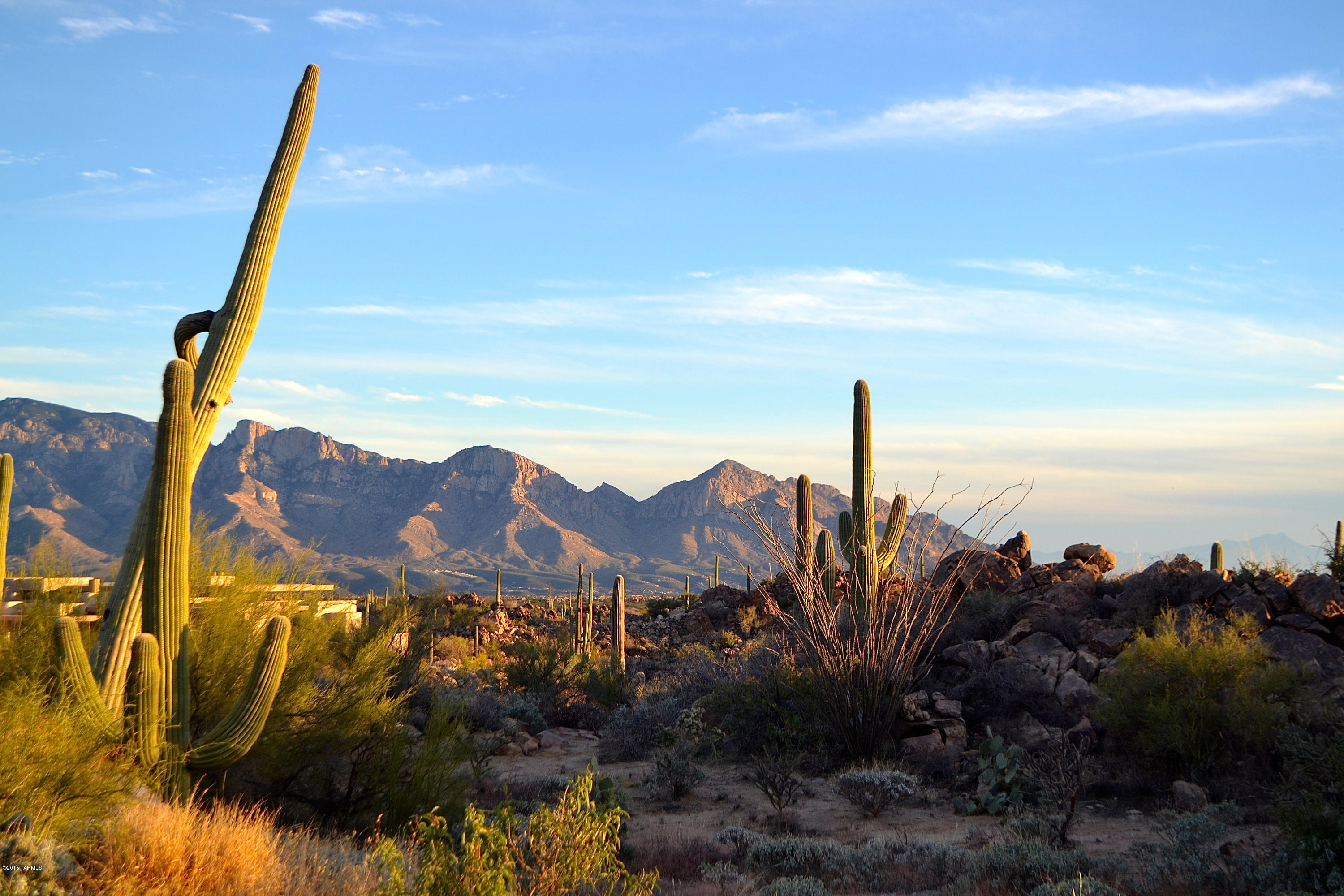 ONE OF THE BEST LOTS IN THE EXCLUSIVE GUARD GATED GOLF COMMUNITY STONE CANYON. THIS OVER-SIZED 2.36 ACRE LOT IS PERCHED HIGH ABOVE THE CITY, CREATING SPECTACULAR CITY LIGHT VIEWS, TORTOLITA AND CATALINA MOUNTAIN VIEWS. GUARANTEED OPEN SPACE BELOW THIS LOT CREATING LONG EVER-LASTING VIEWS. EASY BUILD SITE, RELATIVELY FLAT.THE STONE CANYON CLUB, OWNED BY PHIL MICKELSON IS A PRIVATE GUARD-GATED LUXURY RESIDENTIAL GOLF COMMUNITY RANKED #33 IN GOLFWEEKS TOP 100 RESIDENTIAL GOLF COURSES IN 2015. THIS CUSTOM SITES OFFERS PRIVACY, OUTSTANDING VIEWS & ENDLESS ARCHITECTURAL DESIGN OPTIONS. BUILD WHEN YOU ARE READY AND ENJOY THE PHENOMENAL LIFESTYLE NOW.